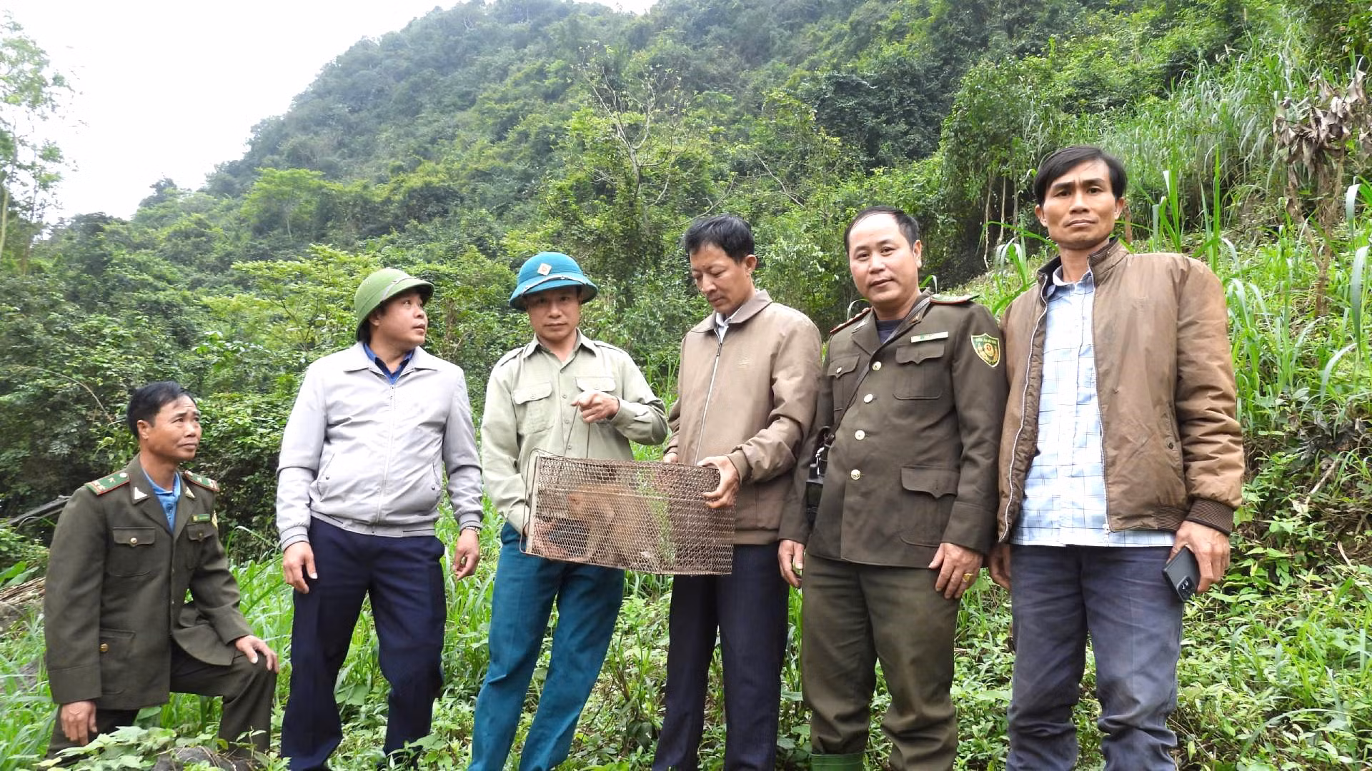 [Ảnh] Bảo vệ, bảo tồn voọc gáy trắng ở Quảng Bình ảnh 5