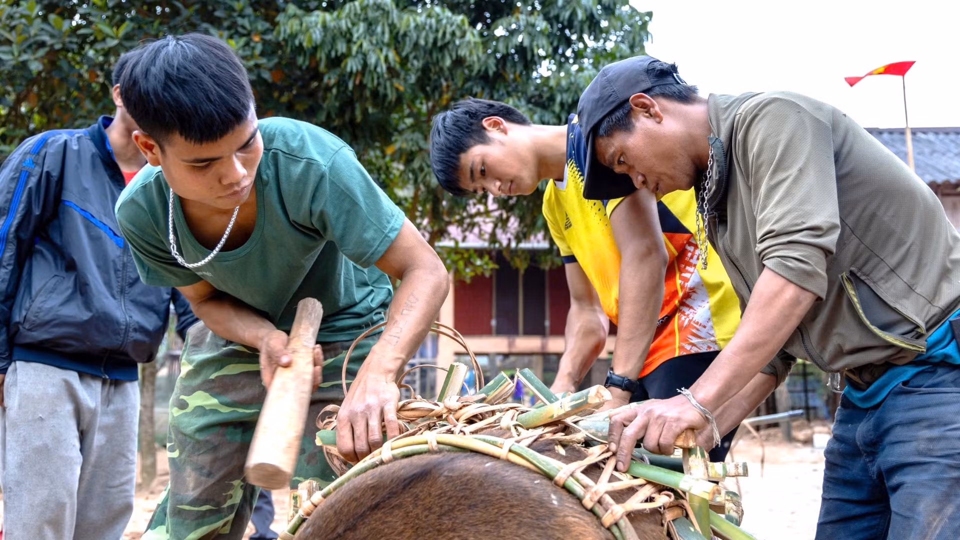 Trước mùa lễ hội, các thanh niên Ma Coong làm trống bằng da trâu bằng kỹ thuật riêng có của tộc người.