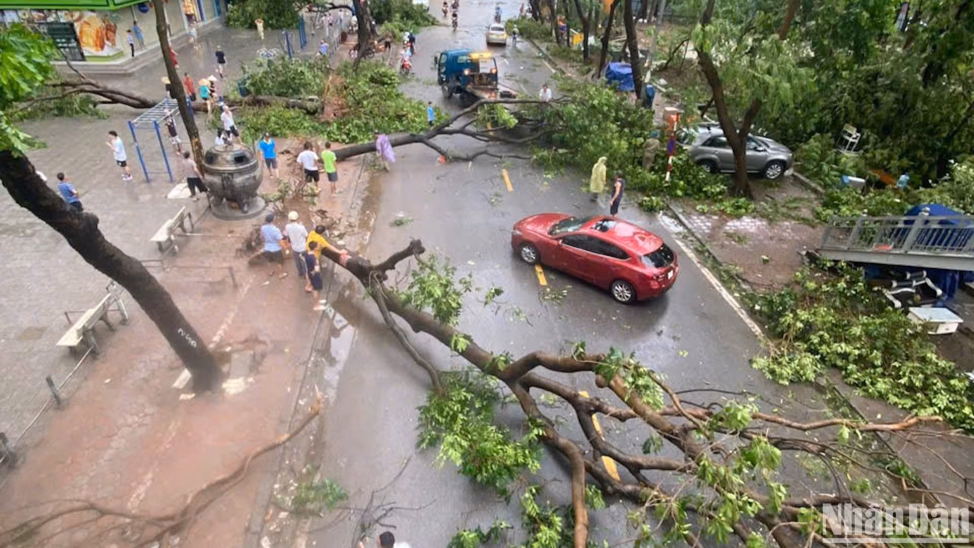 Cây đổ la liệt trên đường Nguyễn Phan Chánh, trước khu chung cư HH Linh Đàm, phường Hoàng Liệt, quận Hoàng Mai, Hà Nội. (Ảnh: HẢI CHÍNH) Cây đổ la liệt trên đường Nguyễn Phan Chánh, trước khu chung cư HH Linh Đàm, phường Hoàng Liệt, quận Hoàng Mai, Hà Nội. (Ảnh: HẢI CHÍNH)