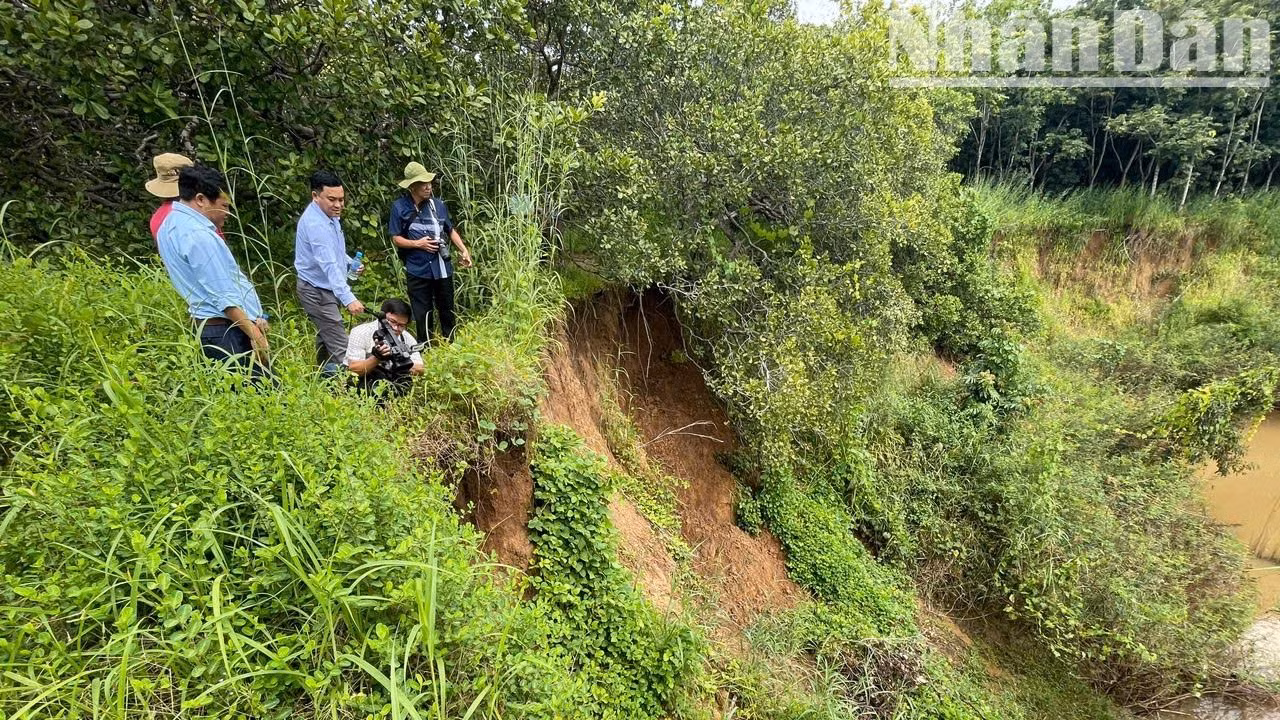 Lãnh đạo Ủy ban nhân dân huyện Ea Súp và các sở, ngành của tỉnh Đắk Lắk đã nhiều lần vào kiểm tra tình hình sạt lở bờ sông Ea H'leo ảnh hưởng đến Di chỉ khảo cổ học Thác Hai.