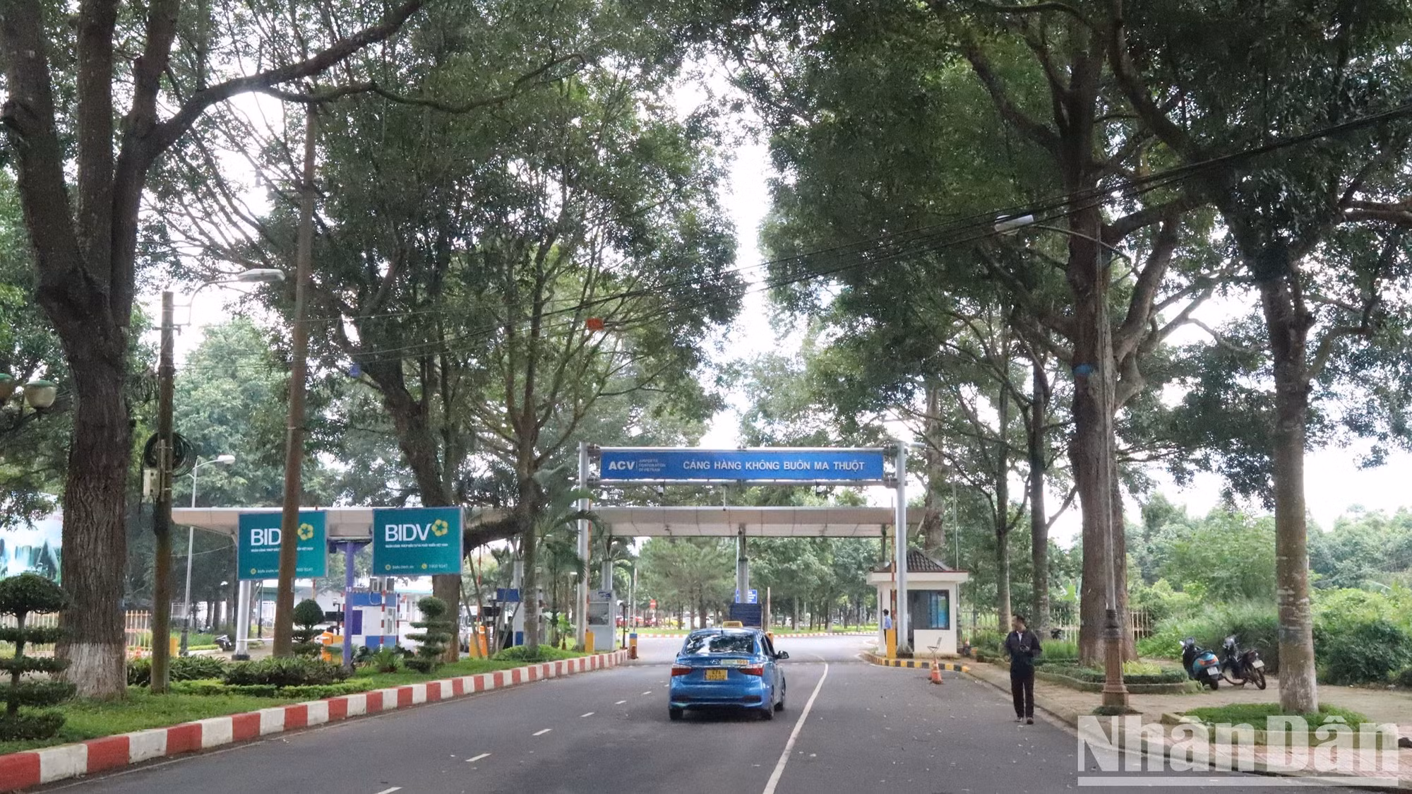 Cuối hai hàng cây cổ thụ xanh ngát là Cảng hàng không Buôn Ma Thuột. Cuối hai hàng cây cổ thụ xanh ngát là Cảng hàng không Buôn Ma Thuột.