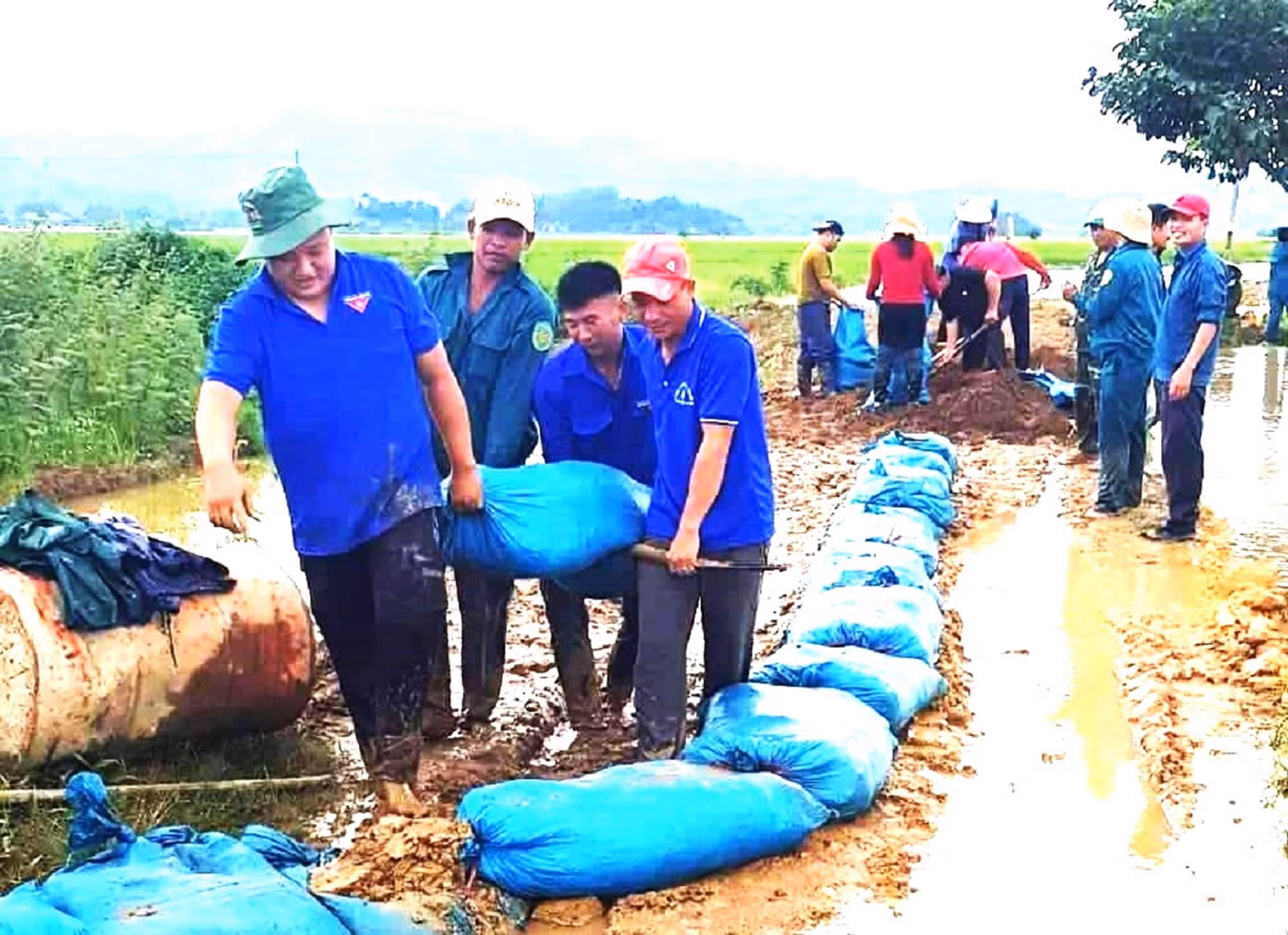 Đoàn viên, thanh niên huyện Lắk tham gia giúp dân đắp đập, phòng chống lũ lụt.