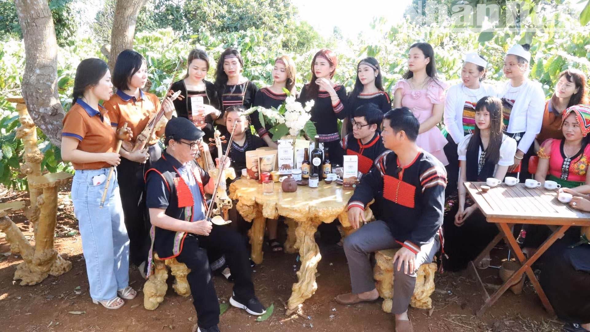 Các hoạt động thăm quan, trải nghiệm và thưởng thức cà-phê giữa bạt ngàn hương hoa cà-phê làm cho du khách hết sức thích thú.