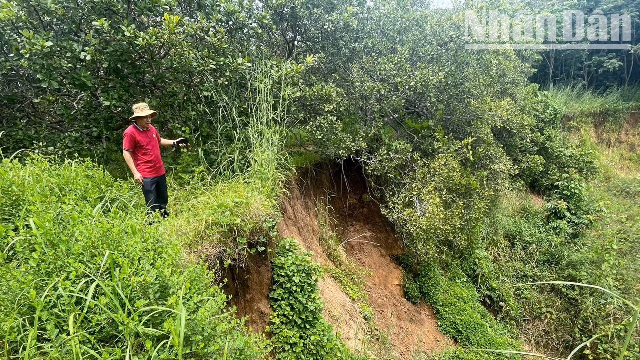 Theo Thạc sĩ Trần Quang Năm, Phó Giám đốc Bảo tàng Đắk Lắk, khi phát hiện Di chỉ khảo cổ học Thác Hai vào năm 2020 thì dòng sông Ea H'leo cách khu vực khai quật khoảng 200m, nhưng nay sạt lở vào sát khu vực khai quật chỉ còn khoảng 2m.