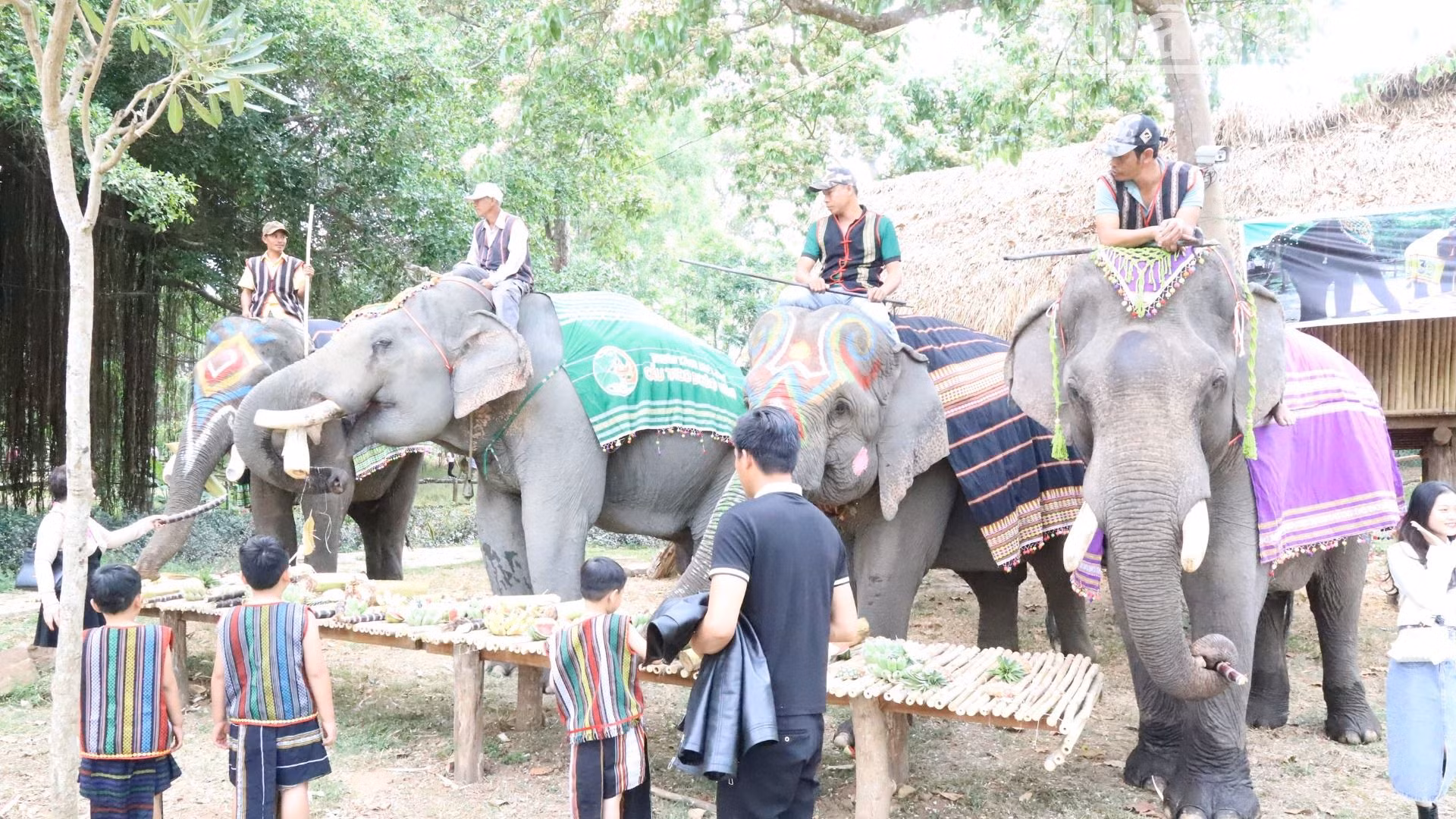 Là vùng đất huyền bí và trong năm 2025 sẽ diễn ra nhiều ngày lễ, kỷ niệm lớn của đất nước và tỉnh Đắk Lắk, ngành du lịch Đắk Lắk đặt mục tiêu sẽ đón khoảng 1,8 triệu lượt khách trong nước và nước ngoài.