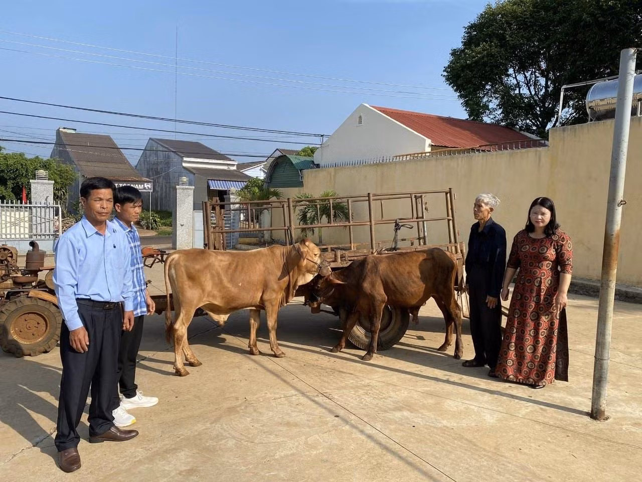 Đảng ủy xã Bình Thuận, thị xã Buôn Hồ trao tặng "Sổ tiết kiệm Búa liềm vàng" là những con bò cho các đảng viên có hoàn cảnh khó khăn để phát triển chăn nuôi. Đảng ủy xã Bình Thuận, thị xã Buôn Hồ trao tặng "Sổ tiết kiệm Búa liềm vàng" là những con bò cho các đảng viên có hoàn cảnh khó khăn để phát triển chăn nuôi.