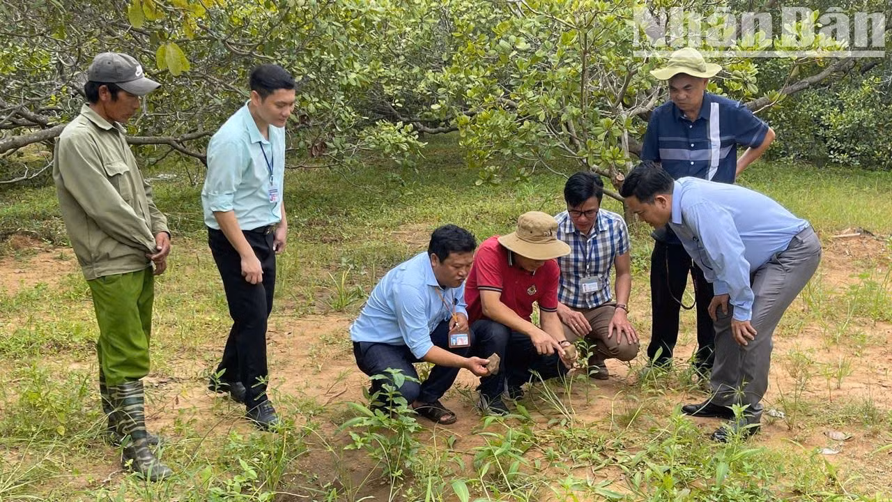Theo khảo sát của Bảo tàng Đắk Lắk, diện tích khai quật có thể đến vài héc-ta.