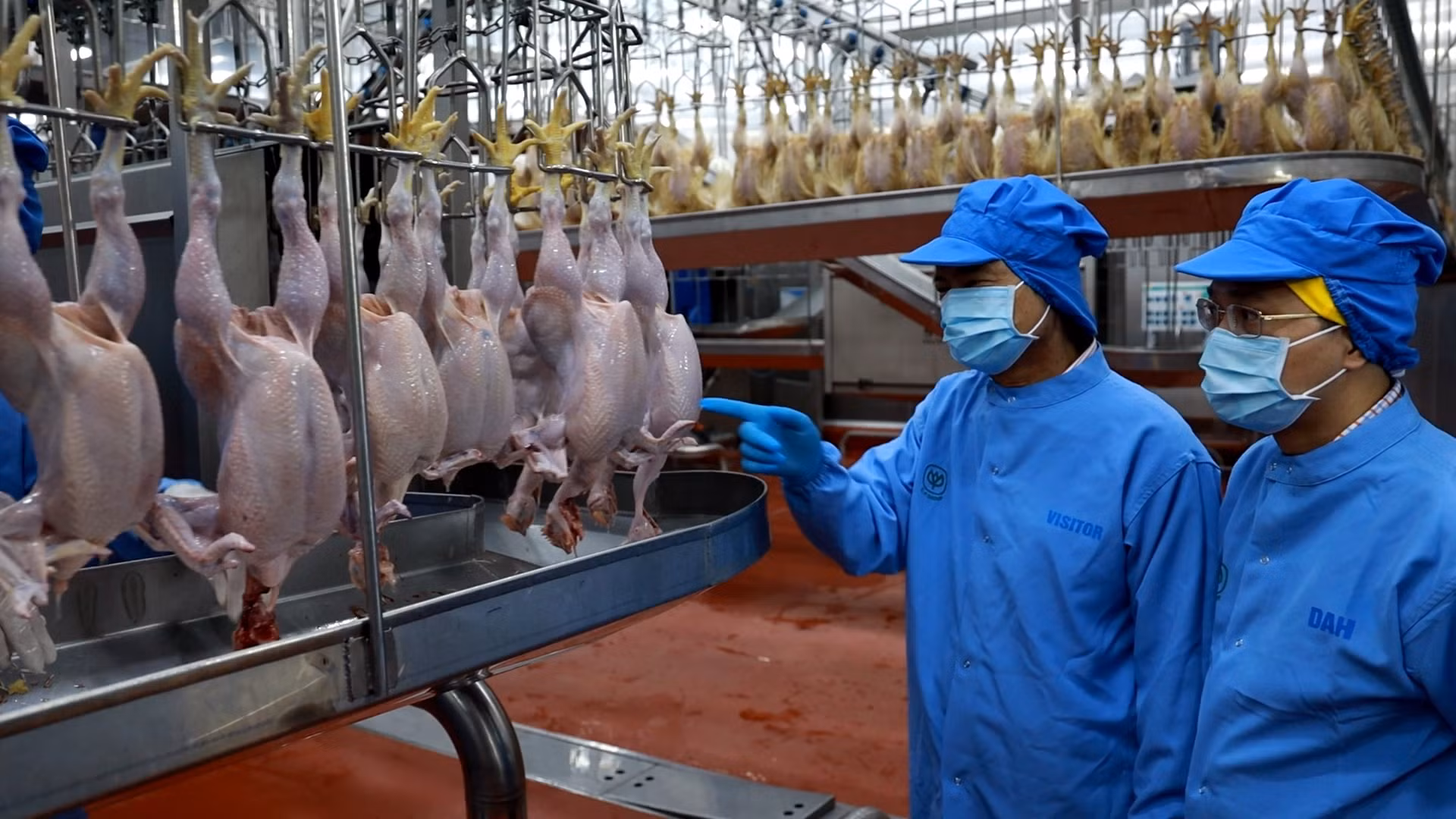 Dây chuyền chế biến gà của Công ty cổ phần chăn nuôi C.P. Việt Nam được đầu tư tại Bình Phước.