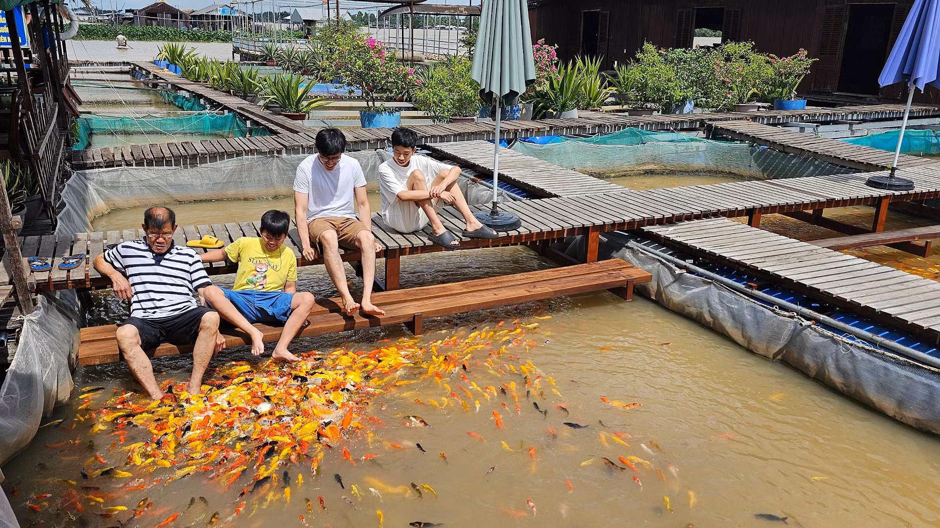 Du khách trải nghiệm tại bảo tàng cá Bảy Bon.