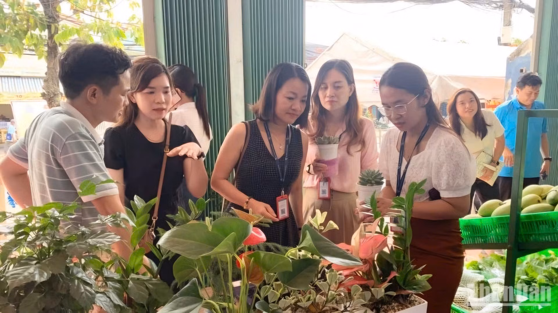 Các sản phẩm "cây nhà lá vườn" được nhiều người quan tâm khi trưng bày tại Hợp tác xã Dịch vụ nông nghiệp thanh niên đô thị Cần Thơ.