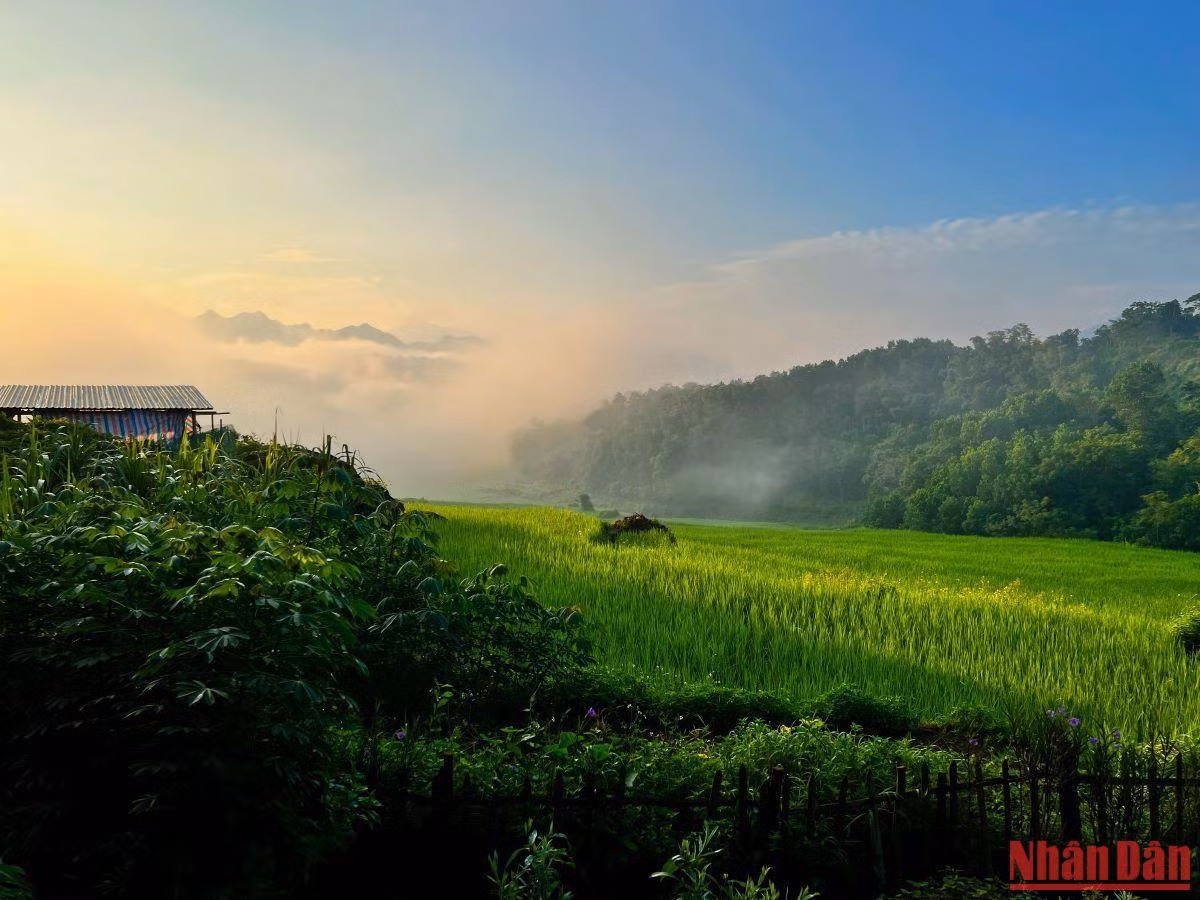Du khách đến đây sẽ được đón bình minh trong không gian mát mẻ, yên tĩnh Du khách đến đây sẽ được đón bình minh trong không gian mát mẻ, yên tĩnh