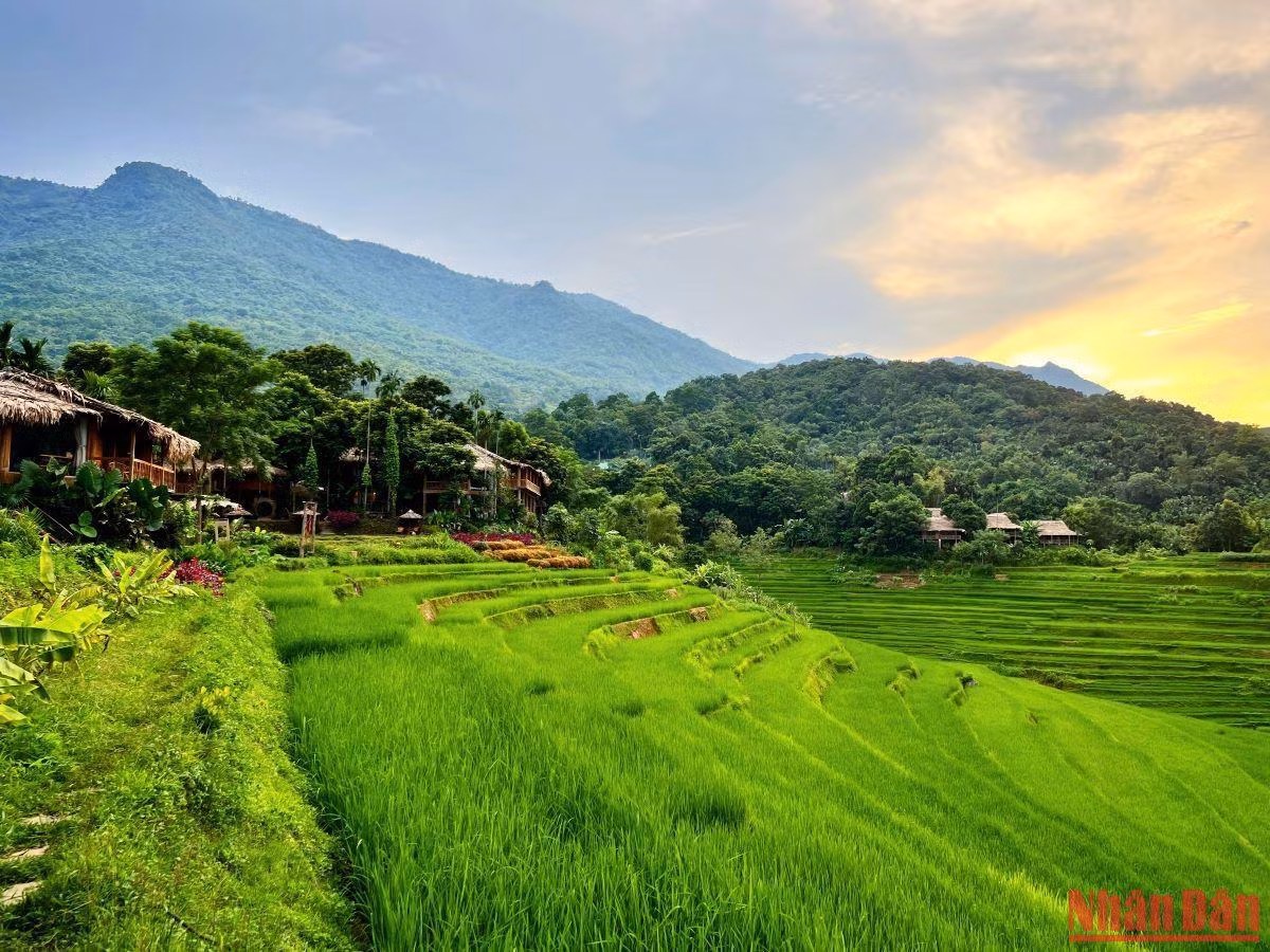 Những ngày chớm thu tháng 8, màu lúa xanh tươi ngập tràn khắp các thung lũng và triền đồi ở khu bảo tồn thiên nhiên Pù Luông.