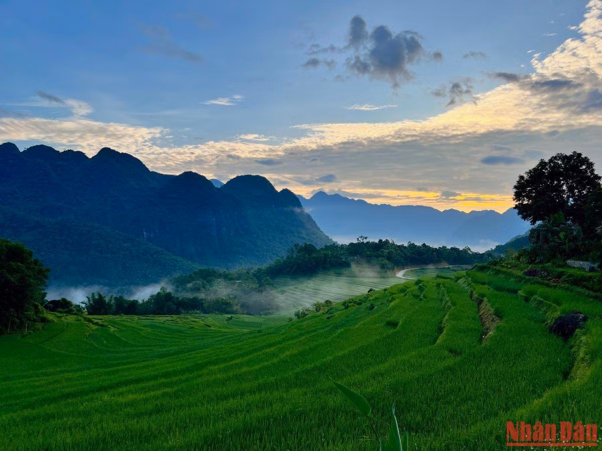 Những sóng lúa trải rộng mênh mông Những sóng lúa trải rộng mênh mông