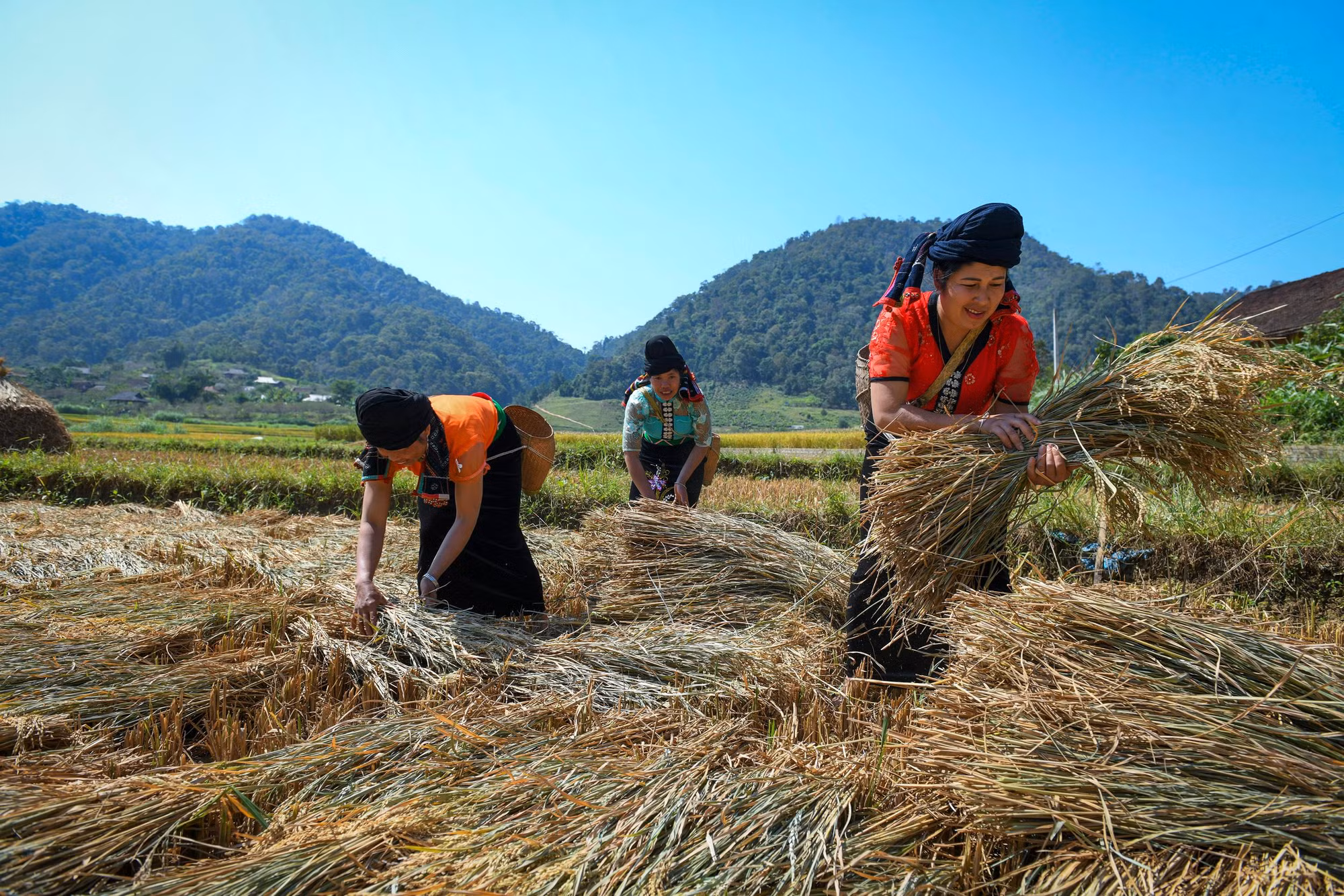 Một buổi làm ruộng của người Xinh Mun (Ảnh: THÀNH ĐẠT)