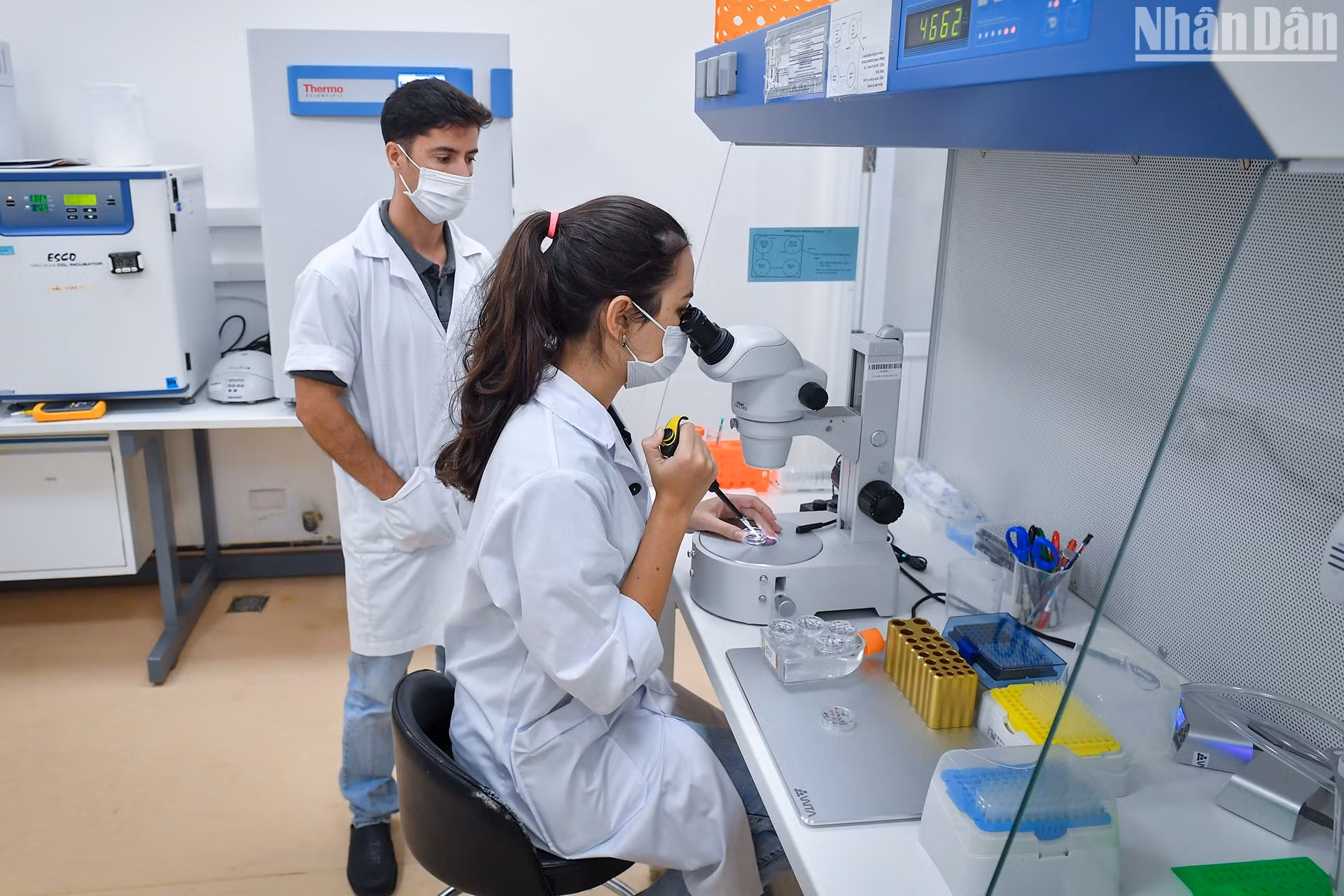 Các chuyên gia ABS thường đến Việt Nam vào mùa sinh sản của bò sữa là cuối năm để tối ưu hóa số lượng bò đạt được. Các chuyên gia ABS thường đến Việt Nam vào mùa sinh sản của bò sữa là cuối năm để tối ưu hóa số lượng bò đạt được.