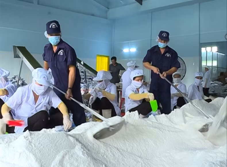 Nhà máy chế biến muối chất lượng cao xuất khẩu tại Bạc Liêu.