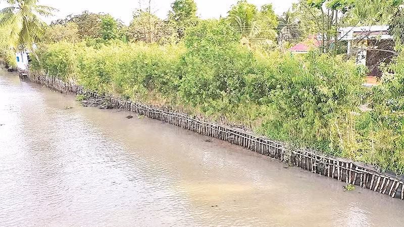 Kè sinh thái dọc tuyến sông huyện Châu Thành A, tỉnh Hậu Giang.