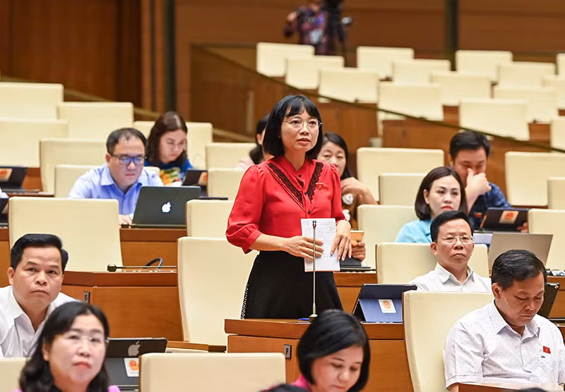 Đại biểu Nguyễn Thị Việt Nga (đại biểu Quốc hội tỉnh Hải Dương) phát biểu ý kiến thảo luận.
