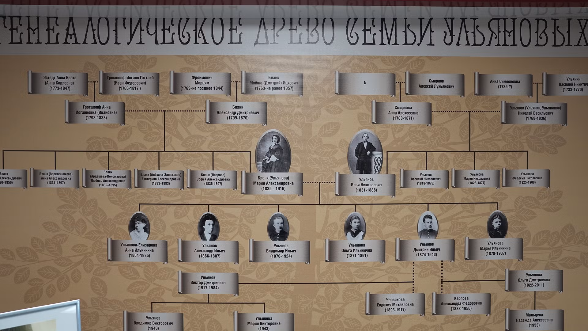 Cây gia phả gia đình Ulyanov.