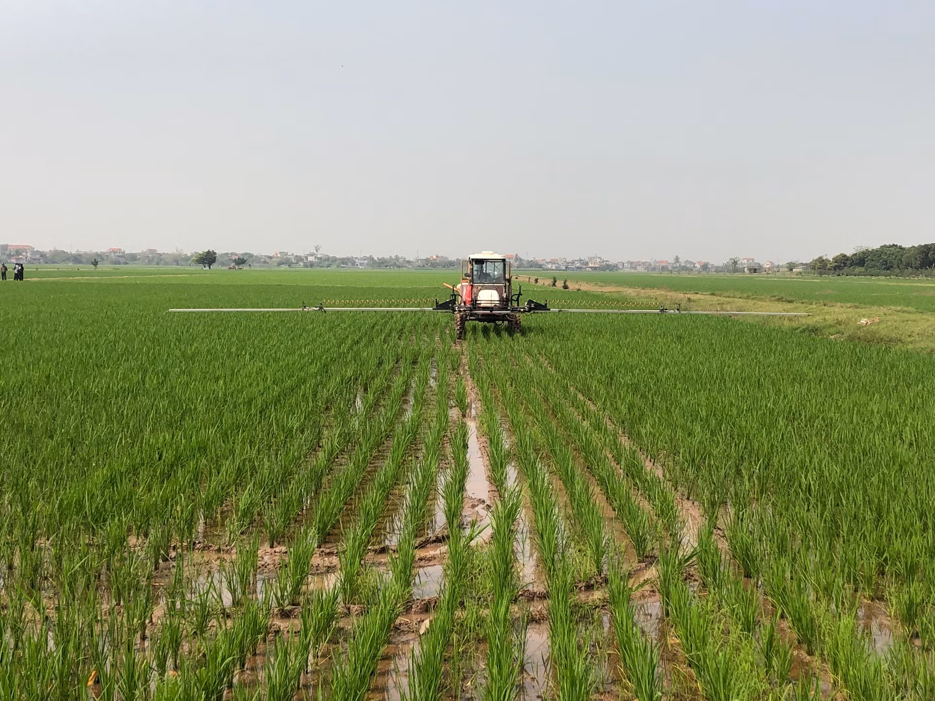 Người dân xã An Ninh, huyện Quỳnh Phụ, tỉnh Thái Bình bón phân bằng máy tại cánh đồng sản xuất theo quy mô lớn. Người dân xã An Ninh, huyện Quỳnh Phụ, tỉnh Thái Bình bón phân bằng máy tại cánh đồng sản xuất theo quy mô lớn.