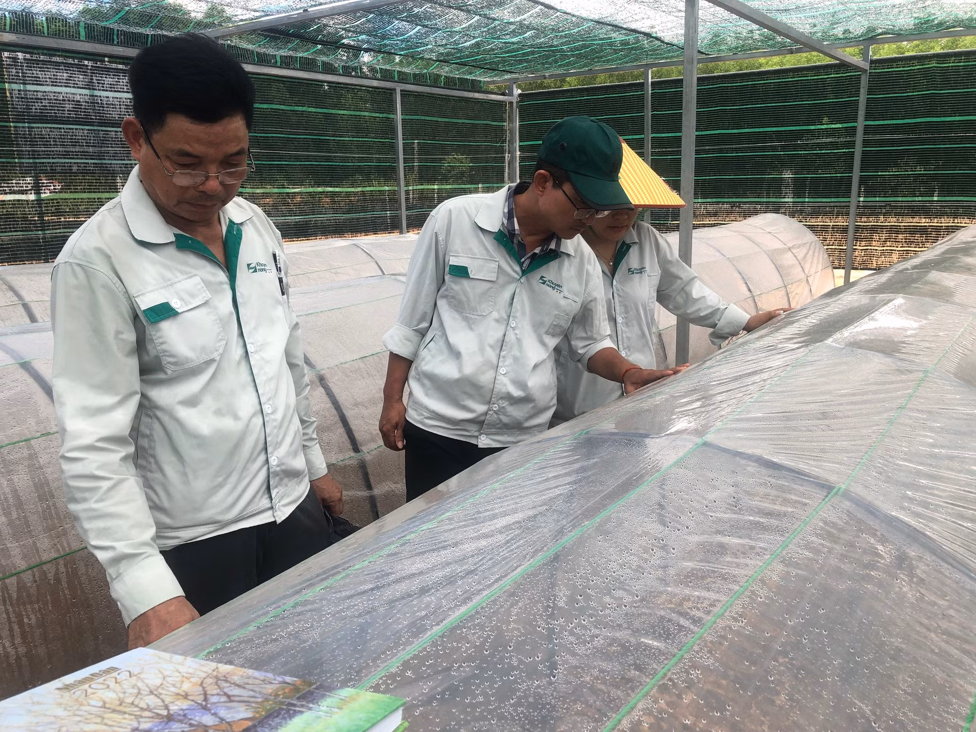 Vườn ươm cây keo lai mô ở Hợp tác xã Long Thành, xã Vĩnh Hà, huyện Vĩnh Linh (Quảng Trị). Vườn ươm cây keo lai mô ở Hợp tác xã Long Thành, xã Vĩnh Hà, huyện Vĩnh Linh (Quảng Trị).
