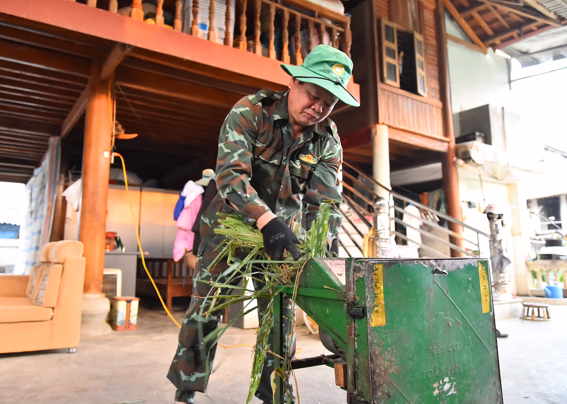 Theo ông Lò Văn Bun, nuôi dê Boer sinh sản này khá vất vả, tháng đầu gặp nhiều khó khăn vì khi đưa về đây dê cần làm quen môi trường, thời tiết và thức ăn nên cả tháng đầu sụt cân và ốm. Trung bình 1 ngày 20kg cám ngô, 20 kg bã đậu phụ, cỏ tươi và cỏ ủ mỗi ngày 3-4kg/con, Chi phí 1 con ăn tương đương 120 nghìn đồng/con/tháng thức ăn tinh. Theo ông Lò Văn Bun, nuôi dê Boer sinh sản này khá vất vả, tháng đầu gặp nhiều khó khăn vì khi đưa về đây dê cần làm quen môi trường, thời tiết và thức ăn nên cả tháng đầu sụt cân và ốm. Trung bình 1 ngày 20kg cám ngô, 20 kg bã đậu phụ, cỏ tươi và cỏ ủ mỗi ngày 3-4kg/con, Chi phí 1 con ăn tương đương 120 nghìn đồng/con/tháng thức ăn tinh.