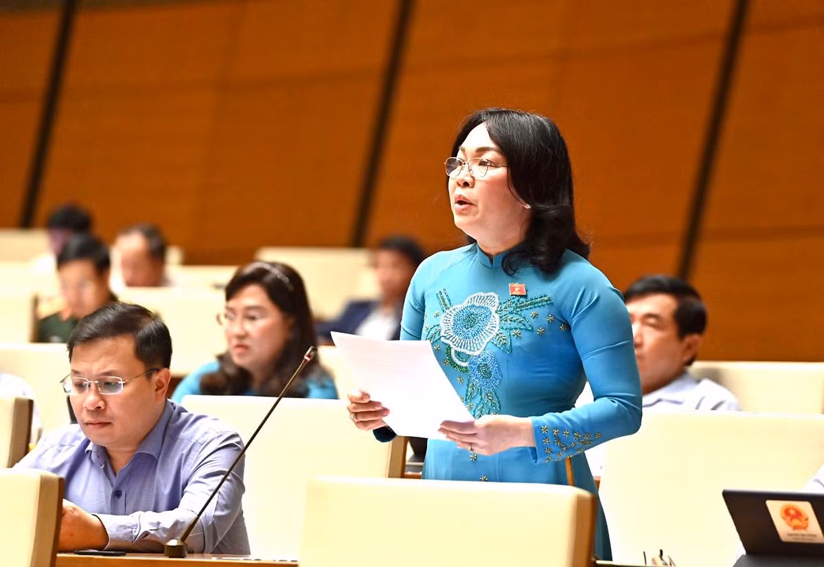 Tại phiên họp, các đại biểu Quốc hội đã có nhiều ý kiến tâm huyết, gắn liền với thực tiễn liên quan đến vấn đề bạo lực gia đình.