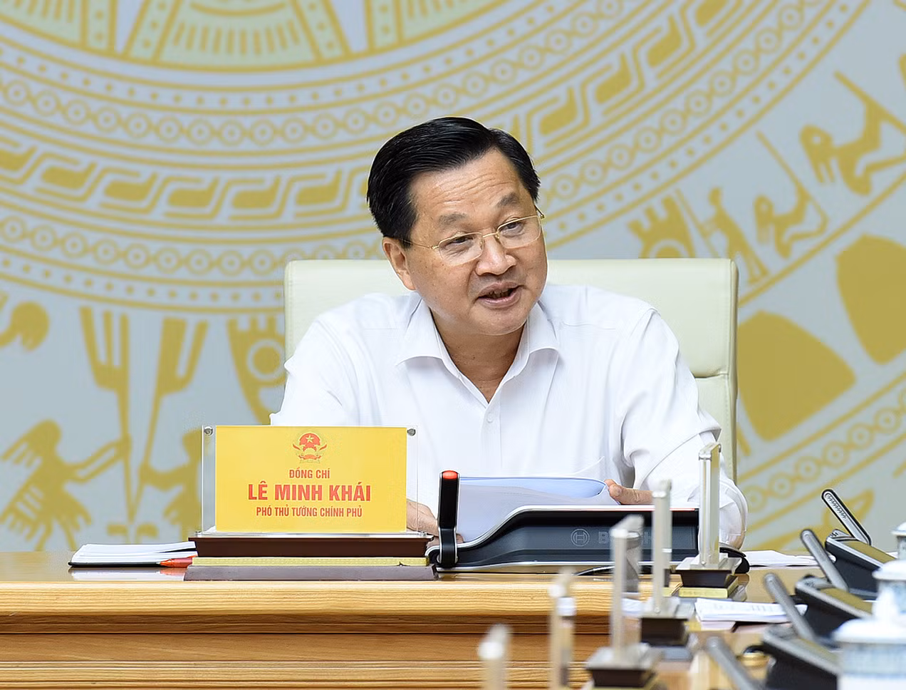 Phó Thủ tướng Lê Minh Khái phát biểu.