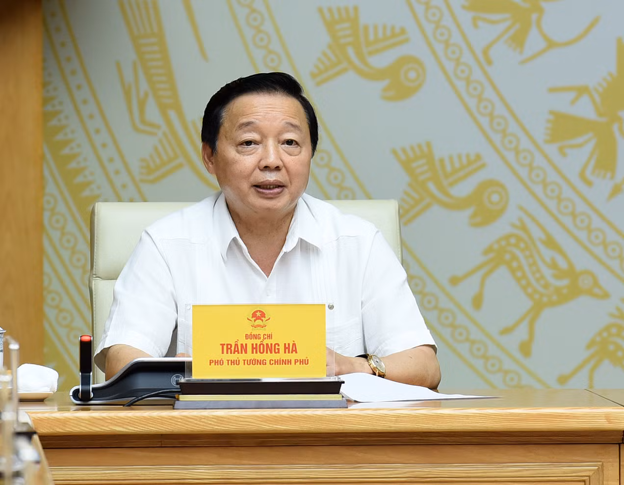 Phó Thủ tướng Trần Hồng Hà phát biểu.