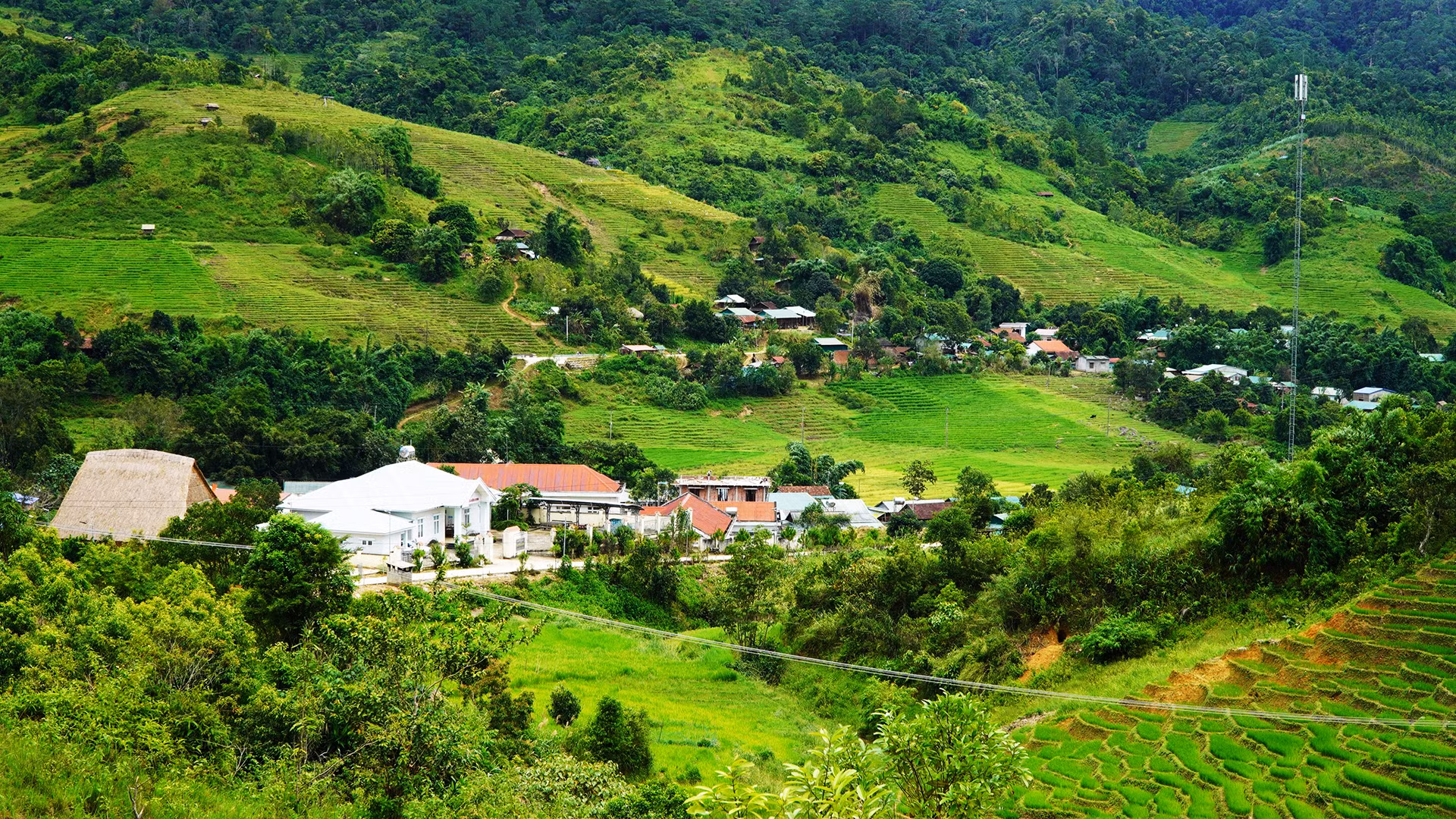 Một góc Làng Mới hôm nay.