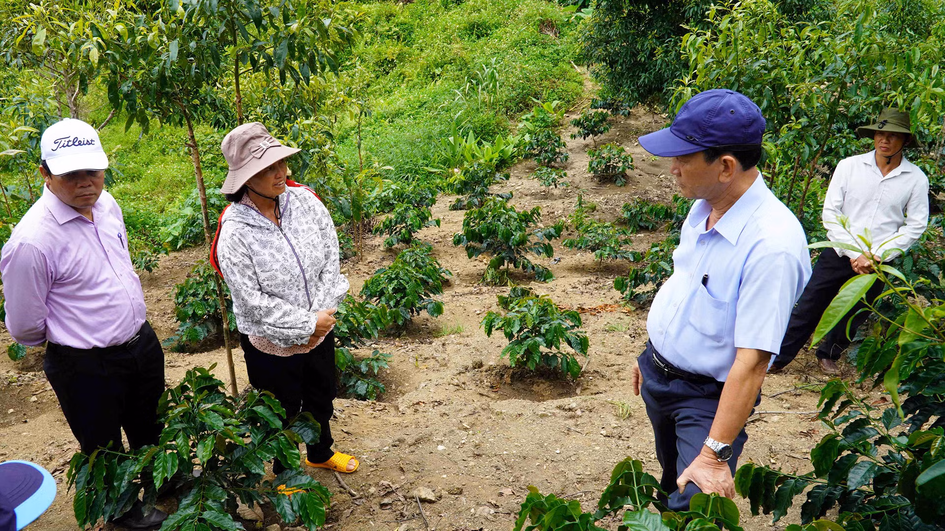 Cà-phê xứ lạnh phù hợp với khí hậu và thổ nhưỡng của thôn Làng Mới. Cà-phê xứ lạnh phù hợp với khí hậu và thổ nhưỡng của thôn Làng Mới.