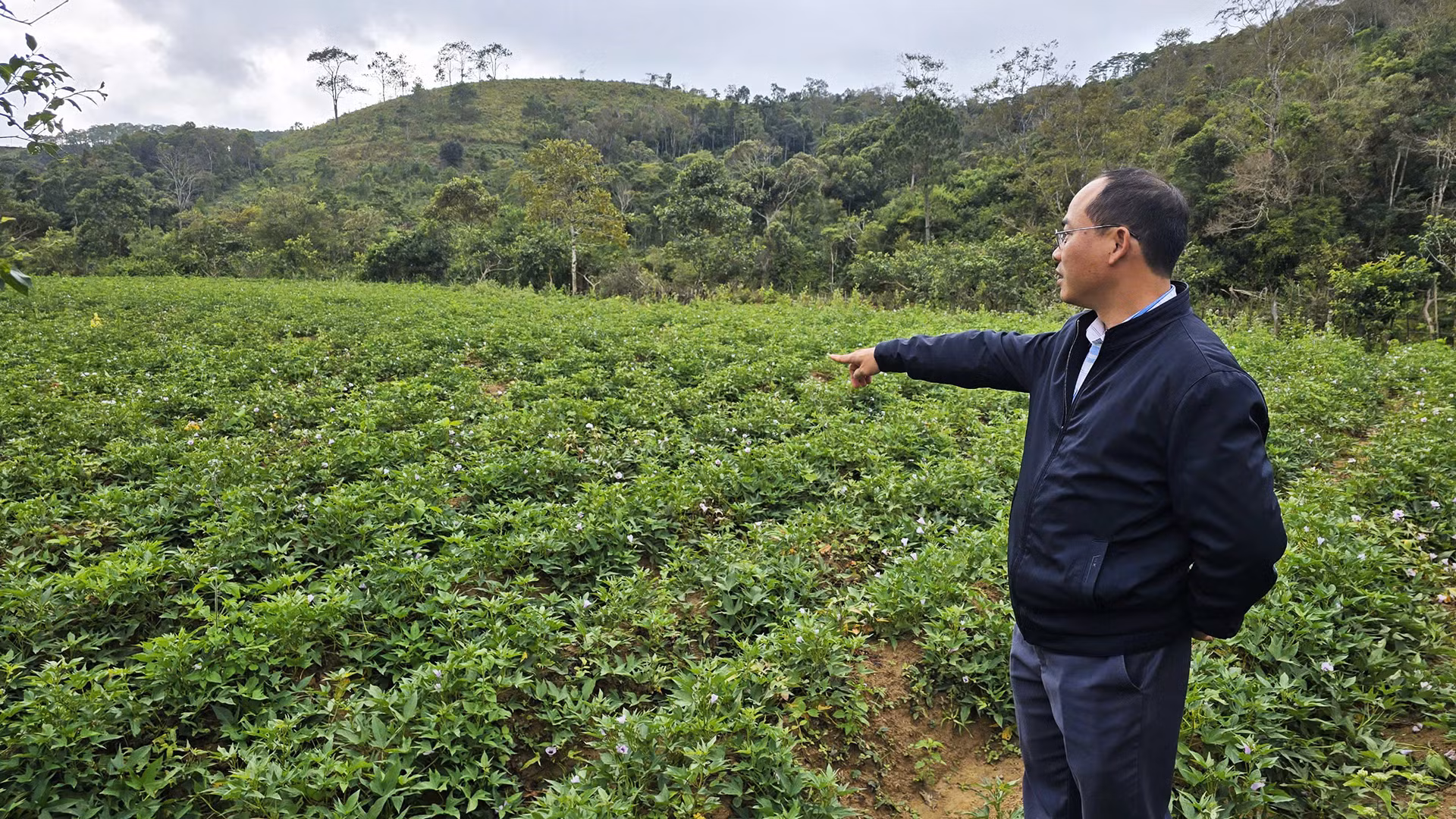 Các loại rau, củ phát triển tươi tốt hứa hẹn cho bà con một mùa thu hoạch bội thu.