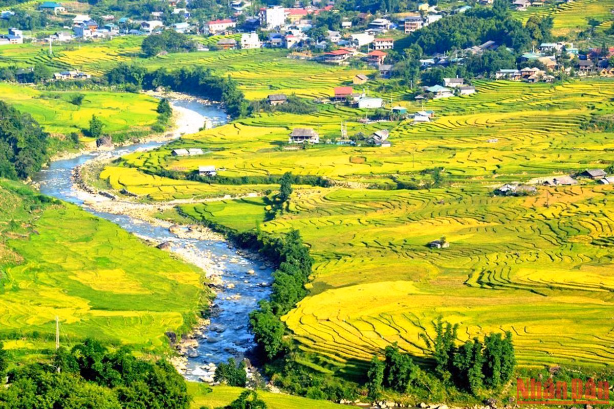 Con suối chảy dọc thung lũng Mường Hoa nuôi dưỡng và tôn thêm vẻ đẹp ruộng bậc thang mùa lúa chín có màu vàng mơ.