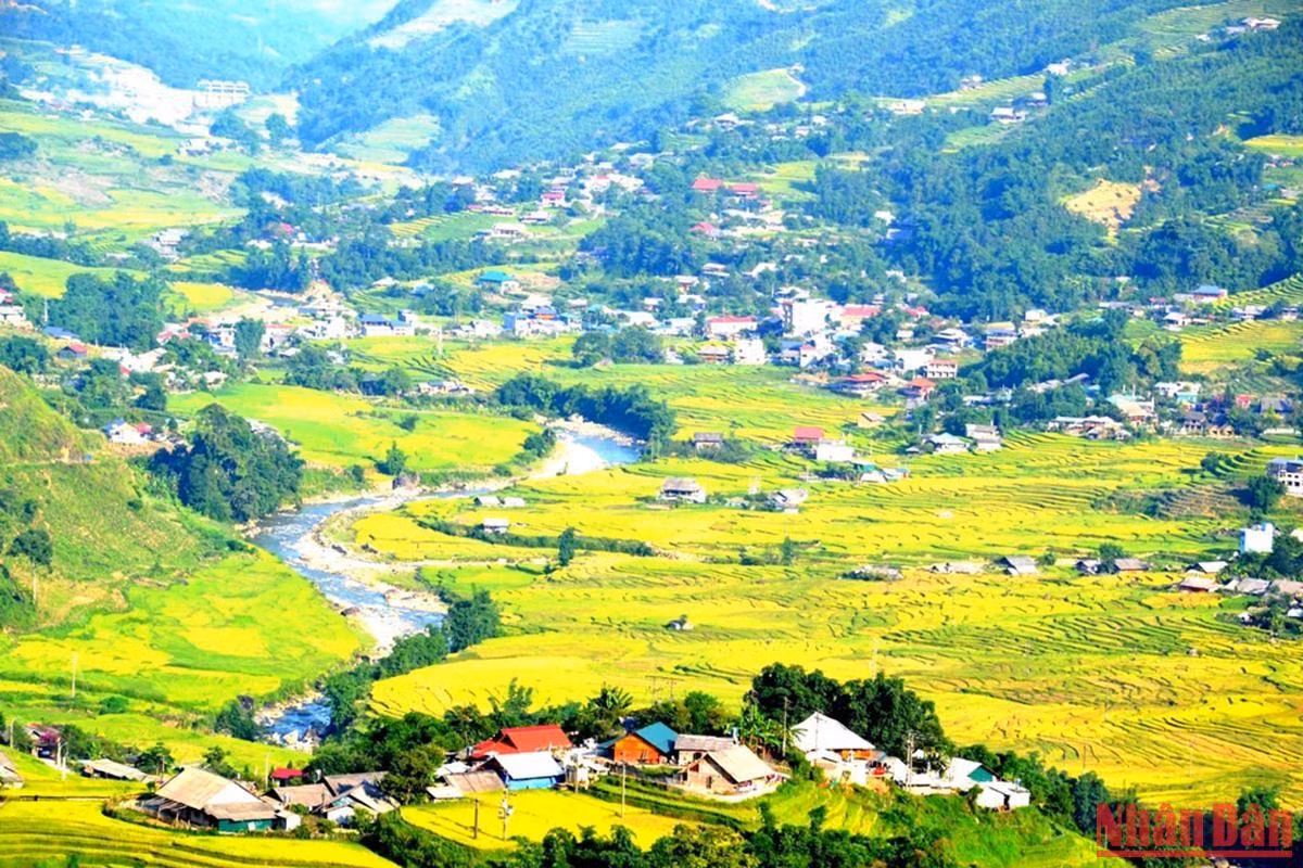 Thời điểm này, Sa Pa được du khách yêu mến gọi bằng cái tên “Mùa vàng” bởi màu nắng thu dịu ngọt, màu lúa chín phủ khắp những thửa ruộng bậc thang ở thung lũng Mường Hoa đẹp như bức tranh. 
