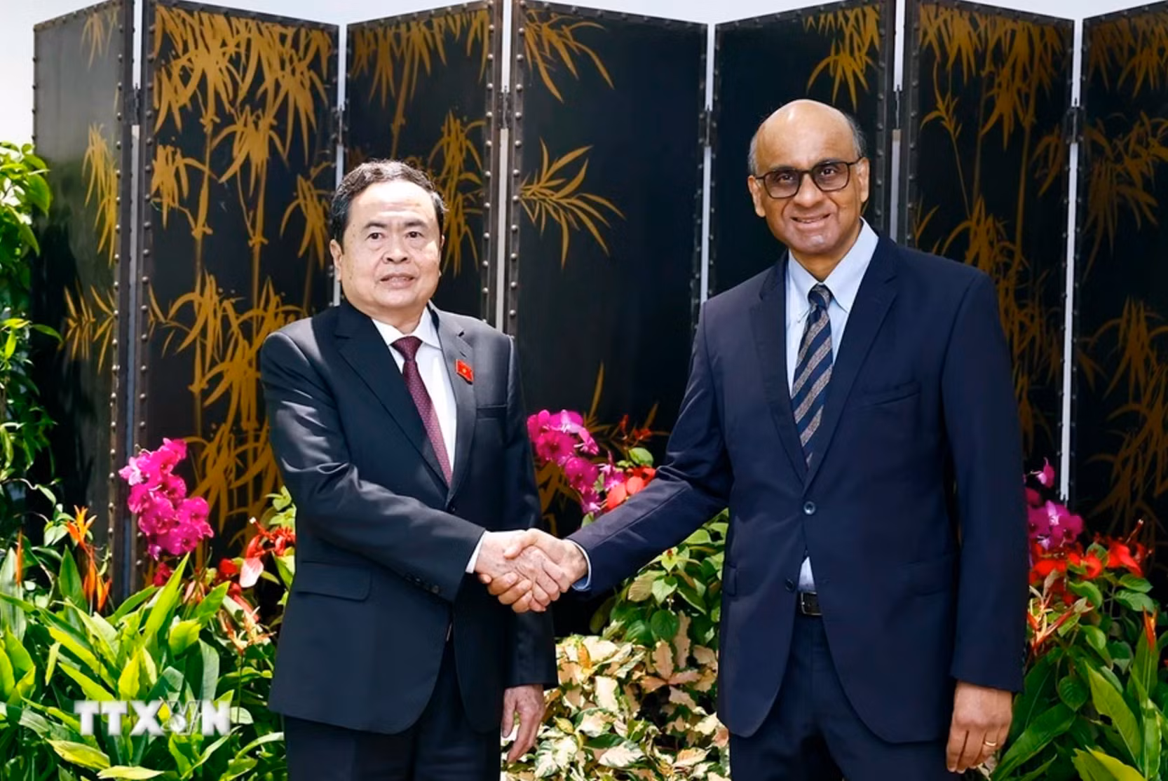 Chủ tịch Quốc hội Trần Thanh Mẫn với Tổng thống Singapore Tharman Shanmugaratnam. (Ảnh: TTXVN)