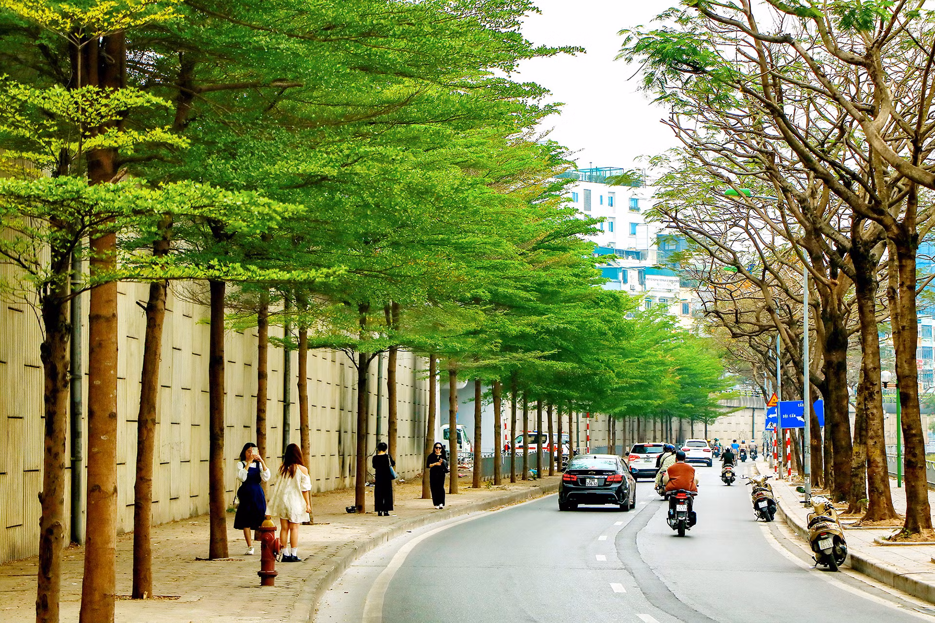 Tại cung đường Bưởi ven sông Tô Lịch, cây bắt đầu chuyển mình sang lá xanh mướt. Người dân tới đây để “check-in” dưới những tán lá xanh. Con phố nhộn nhịp nhất vào thời điểm cuối xuân đầu hè khi những hàng bàng lá nhỏ bắt đầu khoe sắc. Tại cung đường Bưởi ven sông Tô Lịch, cây bắt đầu chuyển mình sang lá xanh mướt. Người dân tới đây để “check-in” dưới những tán lá xanh. Con phố nhộn nhịp nhất vào thời điểm cuối xuân đầu hè khi những hàng bàng lá nhỏ bắt đầu khoe sắc.