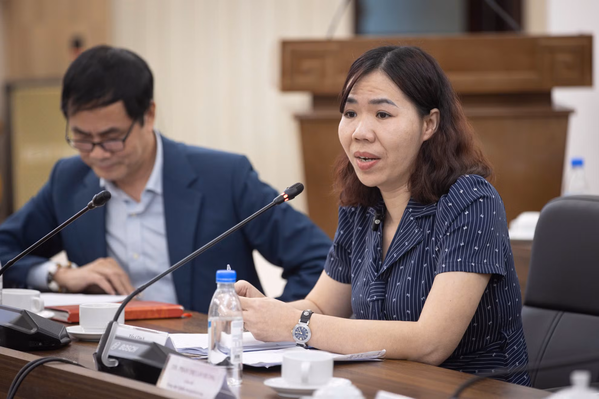 Tiến sĩ Nguyễn Thị Hồng chia sẻ ý kiến tại tọa đàm. Ảnh: SƠN TÙNG