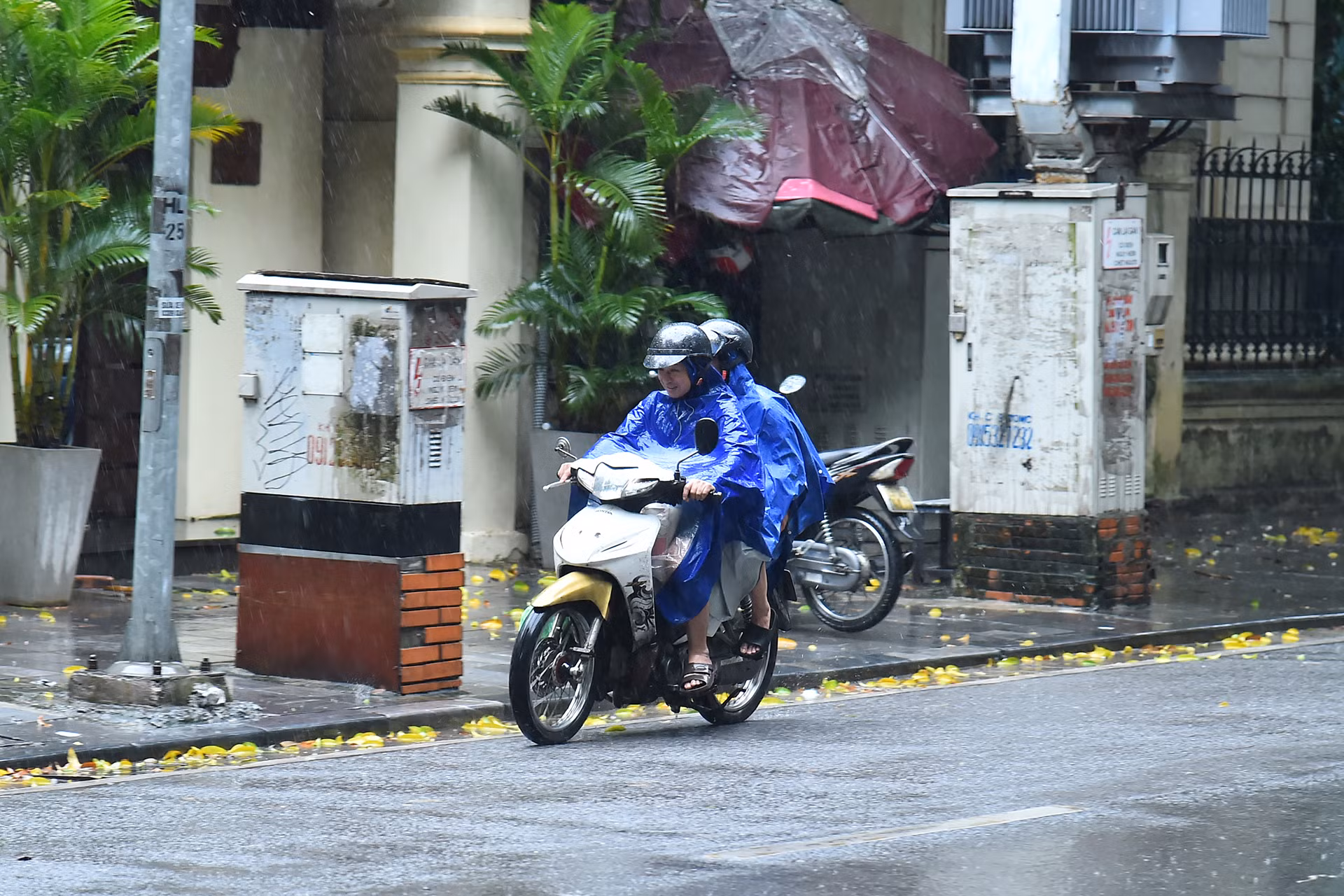 Người dân đi lại gặp khó khăn trong tình trạng mưa to, gió mạnh. (Ảnh: THỦY NGUYÊN) Người dân đi lại gặp khó khăn trong tình trạng mưa to, gió mạnh. (Ảnh: THỦY NGUYÊN)