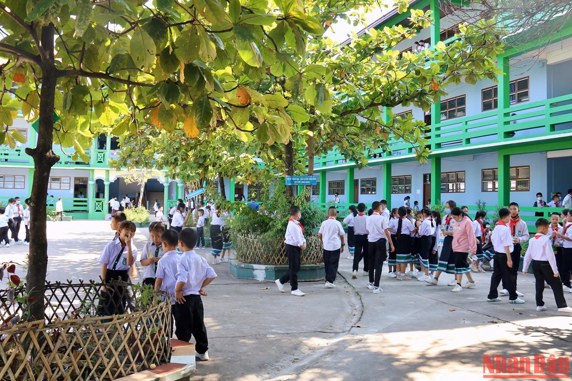 Những tán cây tỏa bóng mát trong khuôn viên trường là nơi tụ hội của nhiều học sinh trong giờ ra chơi. Những tán cây tỏa bóng mát trong khuôn viên trường là nơi tụ hội của nhiều học sinh trong giờ ra chơi.