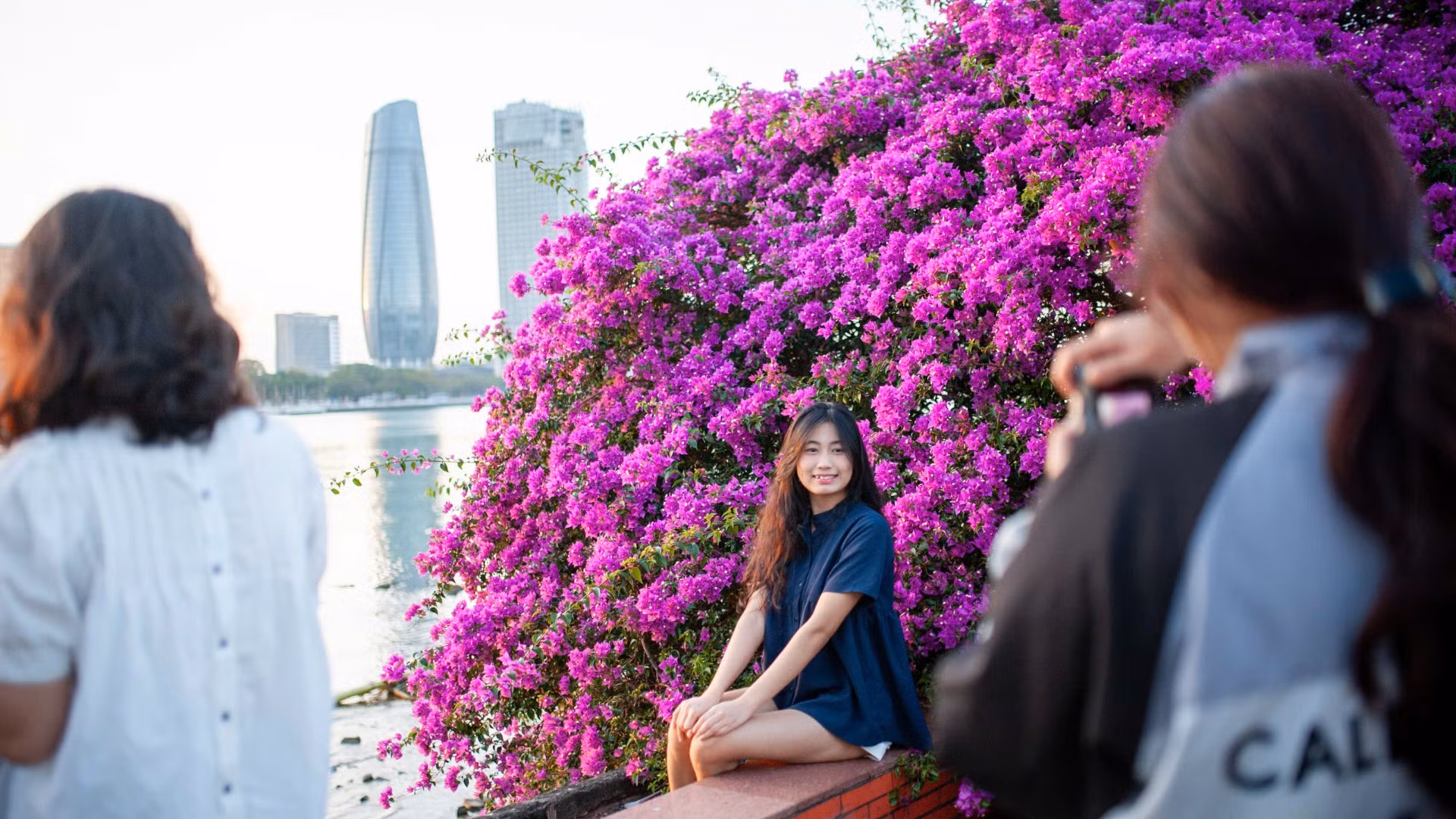 Những cây hoa giấy tại bờ đông sông Hàn đang gây sốt với nhiều bạn trẻ. Những cây hoa giấy tại bờ đông sông Hàn đang gây sốt với nhiều bạn trẻ.