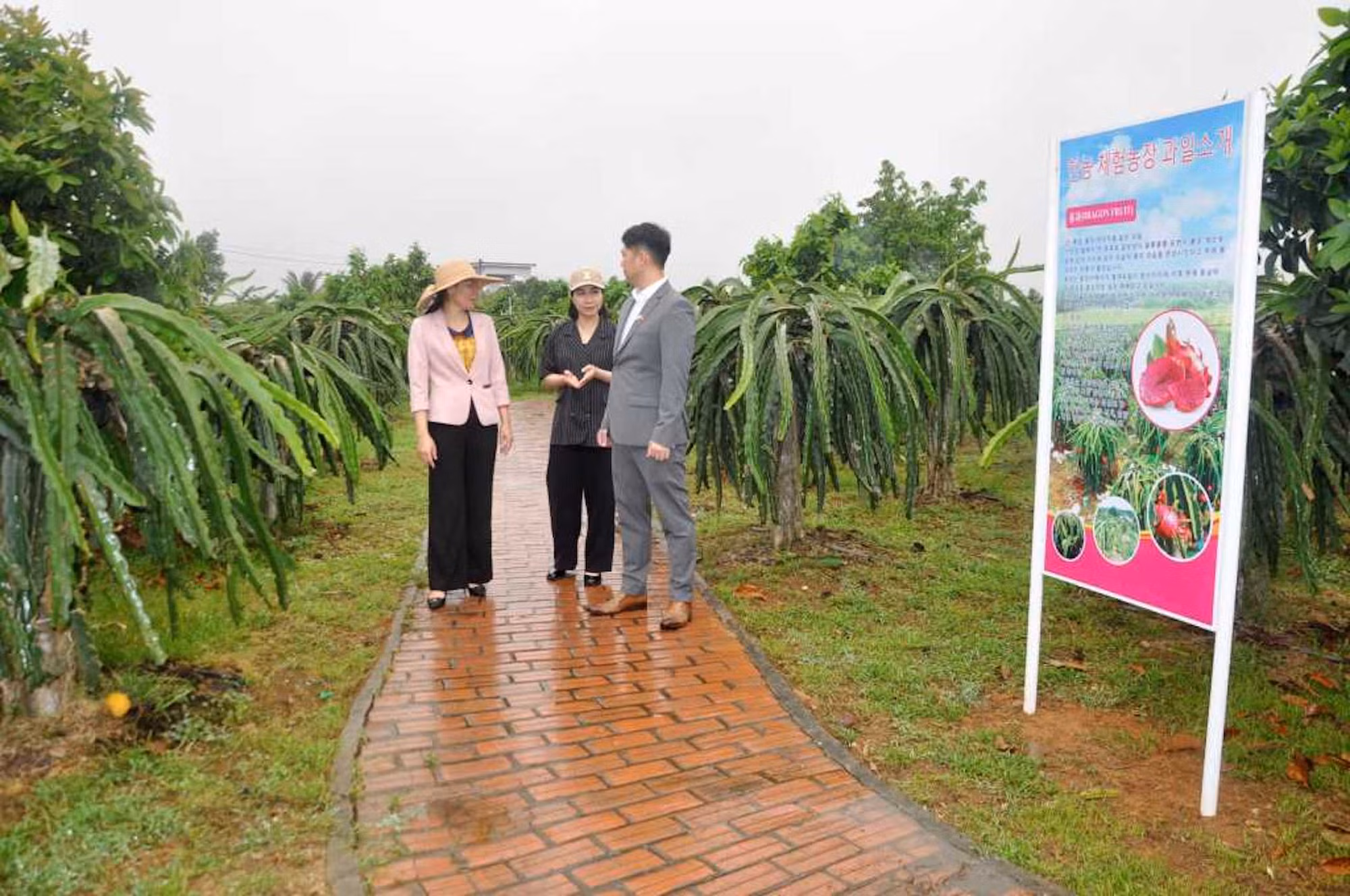 Mô hình trải nghiệm vườn trái cây ở xã Việt Dân, Đông Triều thu hút nhiều du khách trong nước và quốc tế.