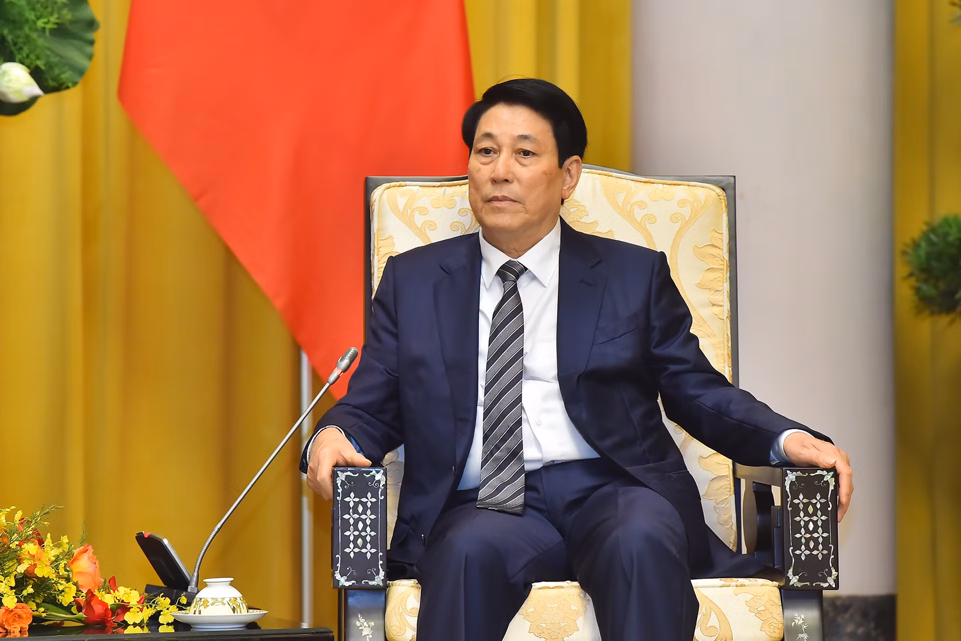 Chủ tịch nước Lương Cường phát biểu tại buổi tiếp.