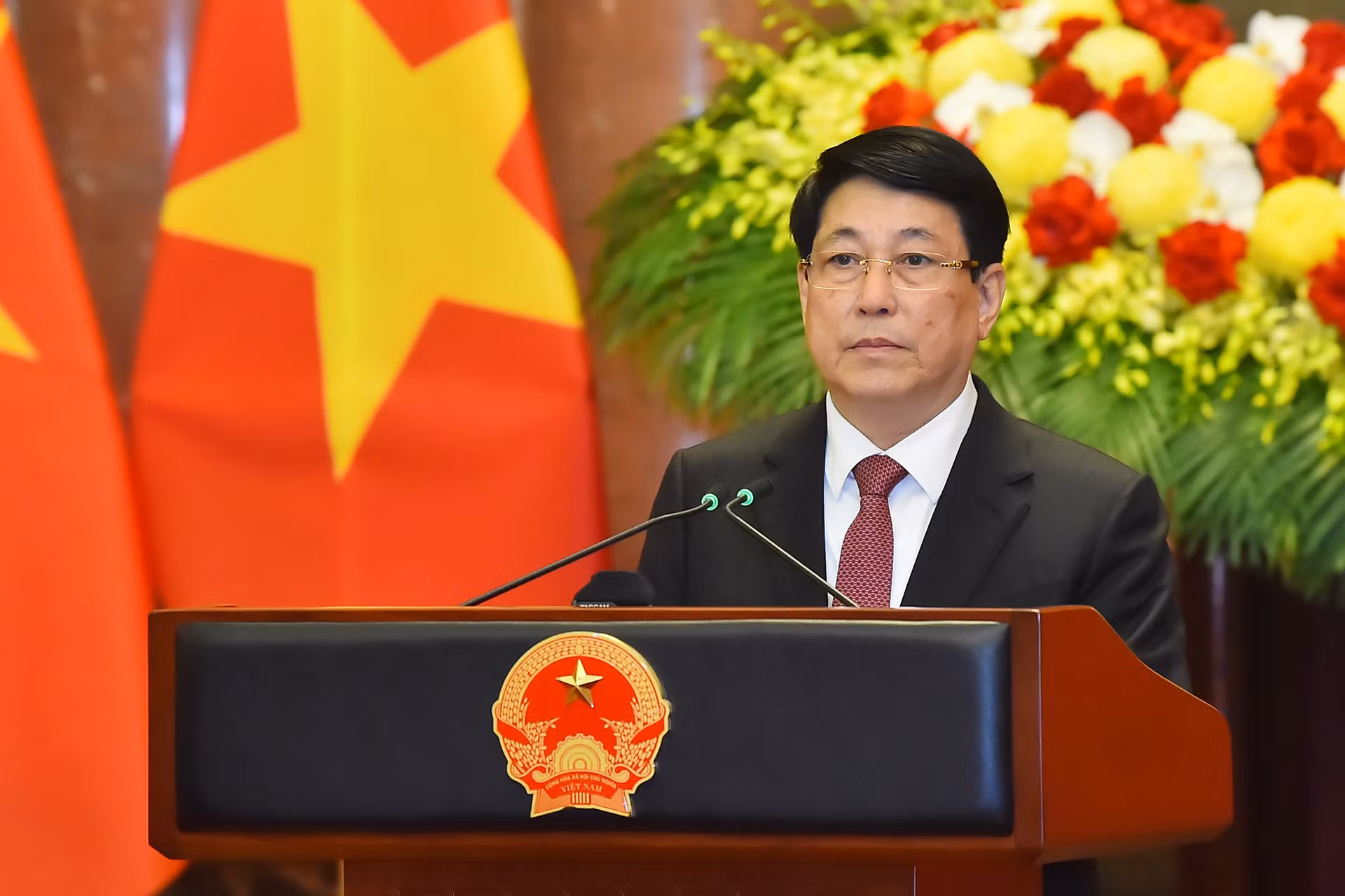 Chủ tịch nước Lương Cường phát biểu tại buổi tiếp.