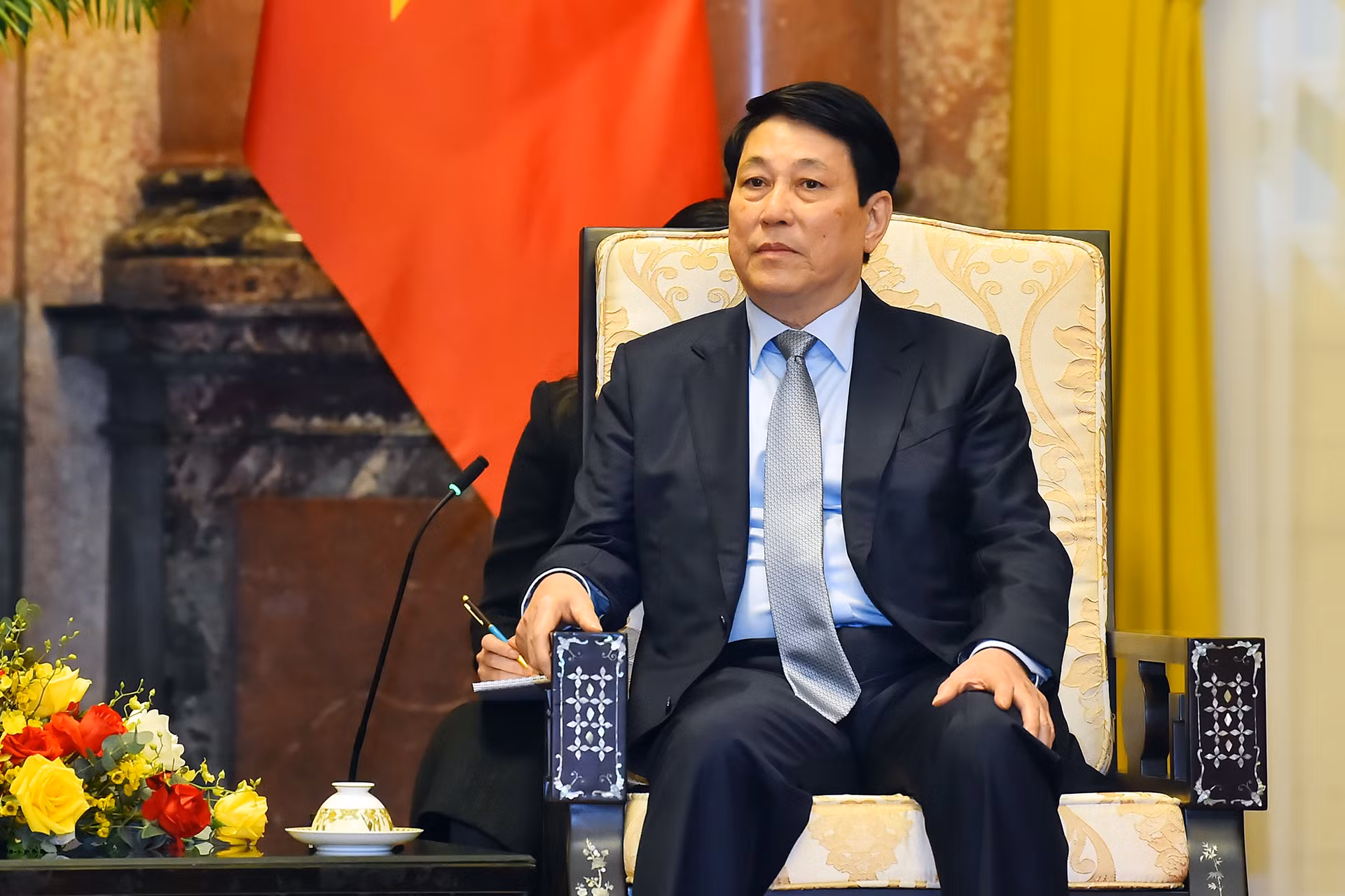 Chủ tịch nước Lương Cường phát biểu tại buổi tiếp.