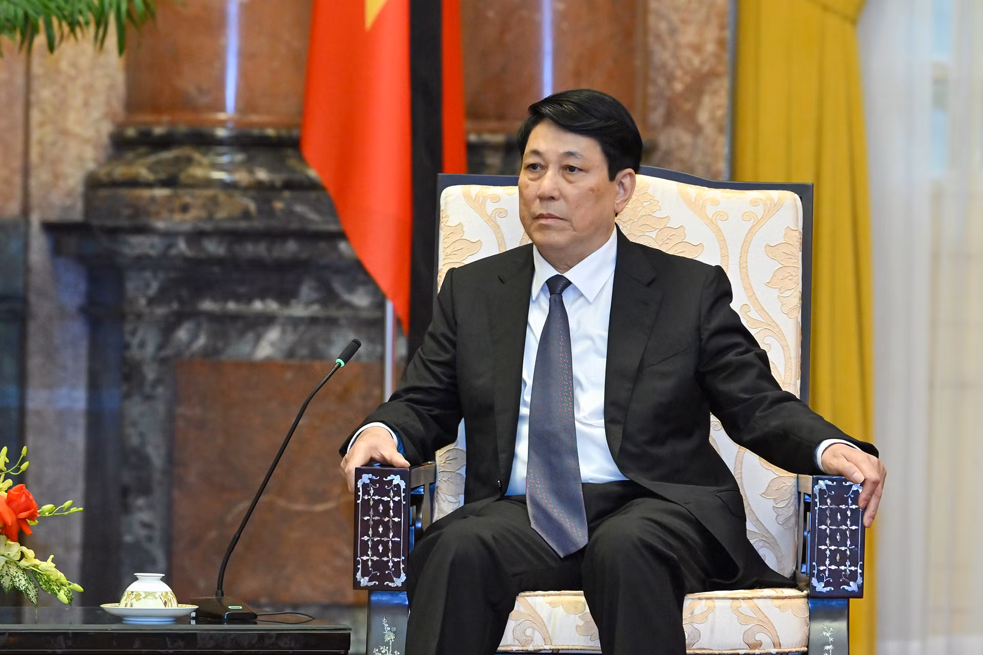 Chủ tịch nước Lương Cường phát biểu tại buổi tiếp.