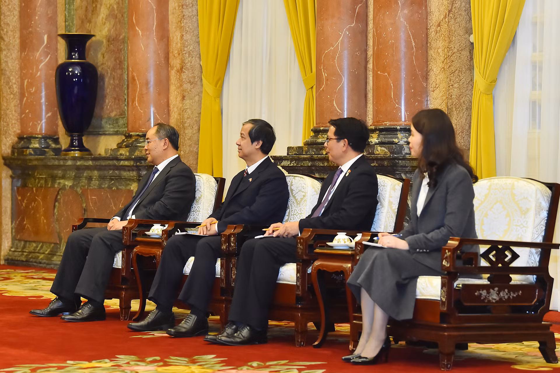 Các thành viên Việt Nam tại buổi tiếp.