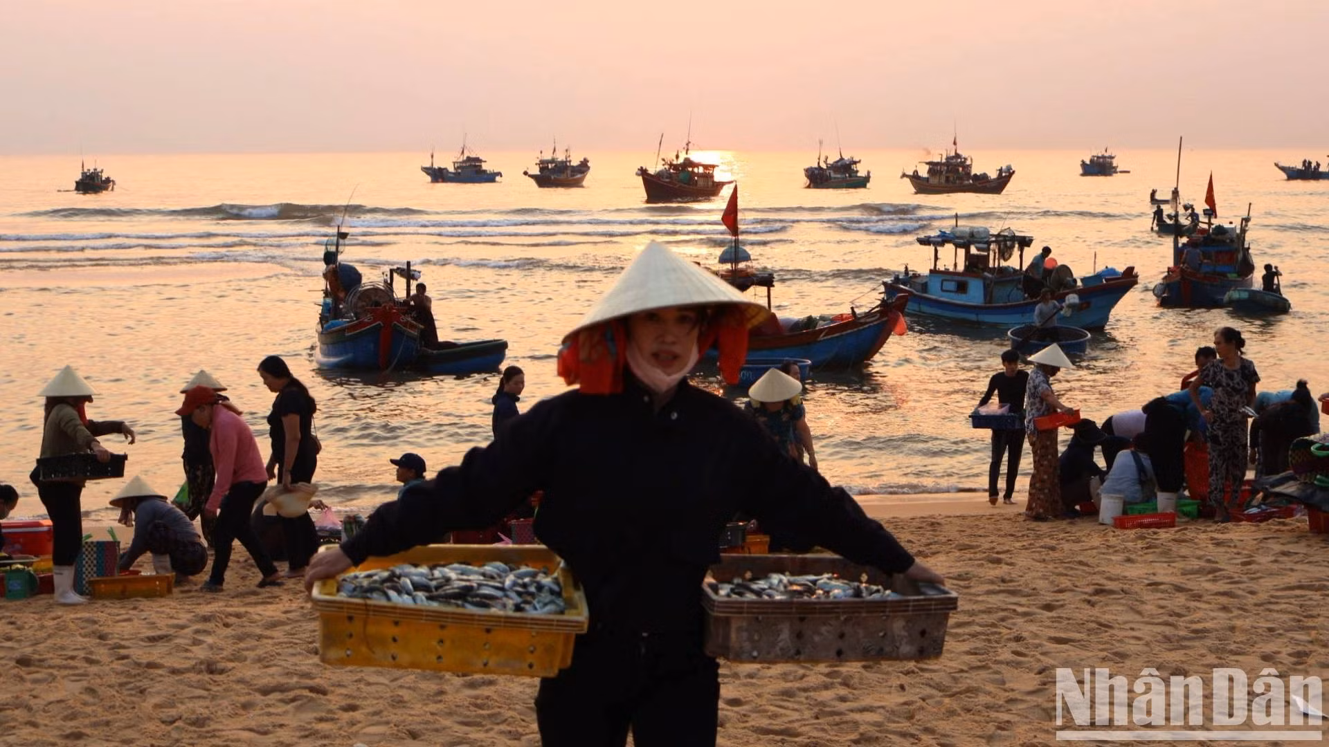 Một phụ nữ mua được ít cá tươi ngon, chị bước nhanh trên triền cát để chở cá đến phiên chợ sáng trong tỉnh.