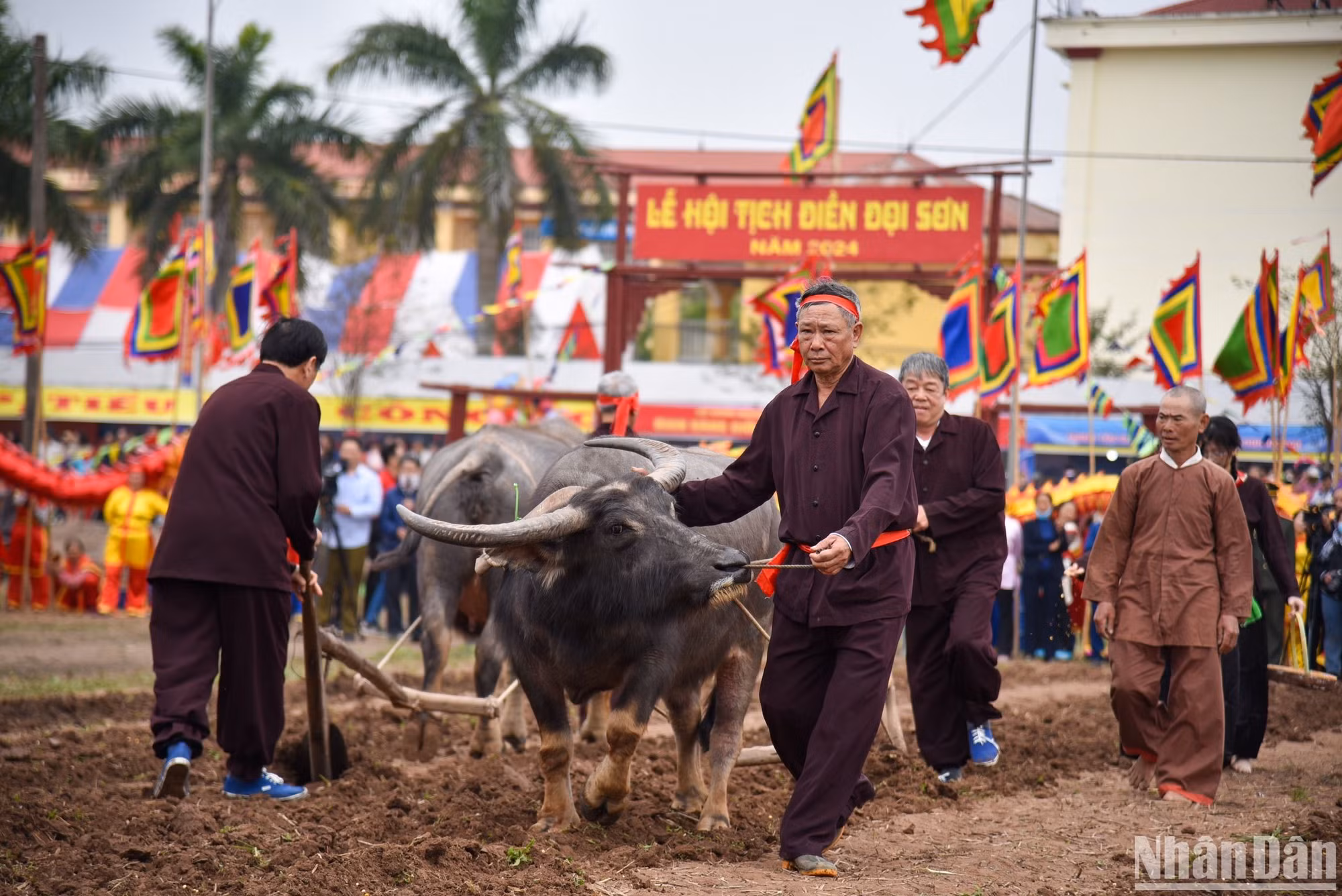 Theo truyền thống, Vua sẽ thực hiện 3 đường cày với mong muốn một năm mưa thuận gió hòa, mùa màng bội thu, nhân khang vật thịnh. Theo truyền thống, Vua sẽ thực hiện 3 đường cày với mong muốn một năm mưa thuận gió hòa, mùa màng bội thu, nhân khang vật thịnh.