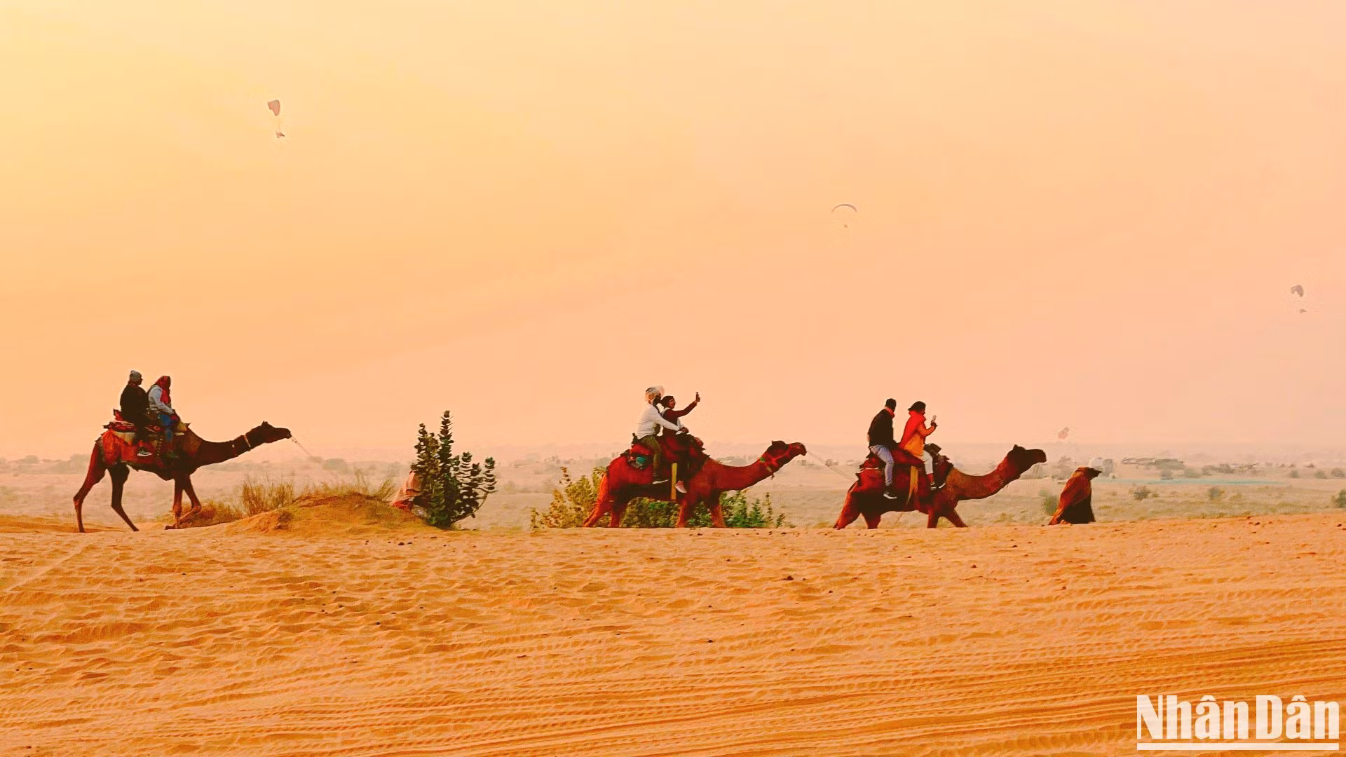 Jaisalmer- "Kho báu" sau bức tường vàng ảnh 12 Jaisalmer- "Kho báu" sau bức tường vàng ảnh 12