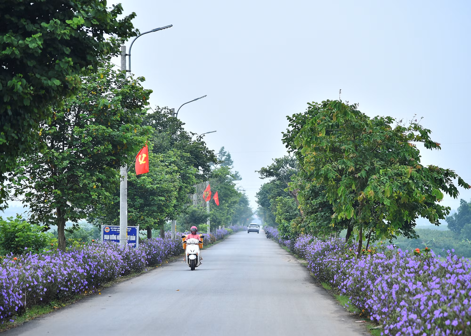 Người dân xã Minh Quang (huyện Ba Vì, Hà Nội) góp sức xây dựng các tuyến đường hoa, làm đẹp cảnh quan địa bàn xã.